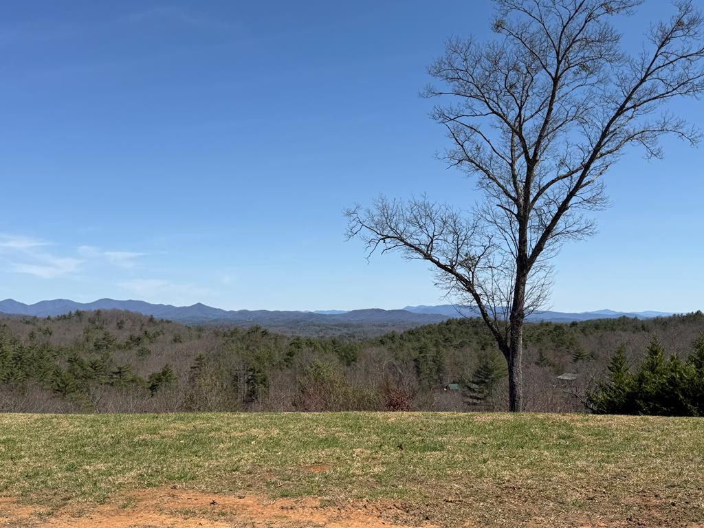 View from Community Common Area
