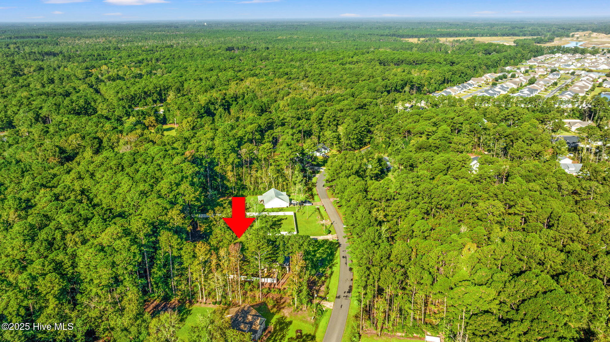 100535002 | Photo 33