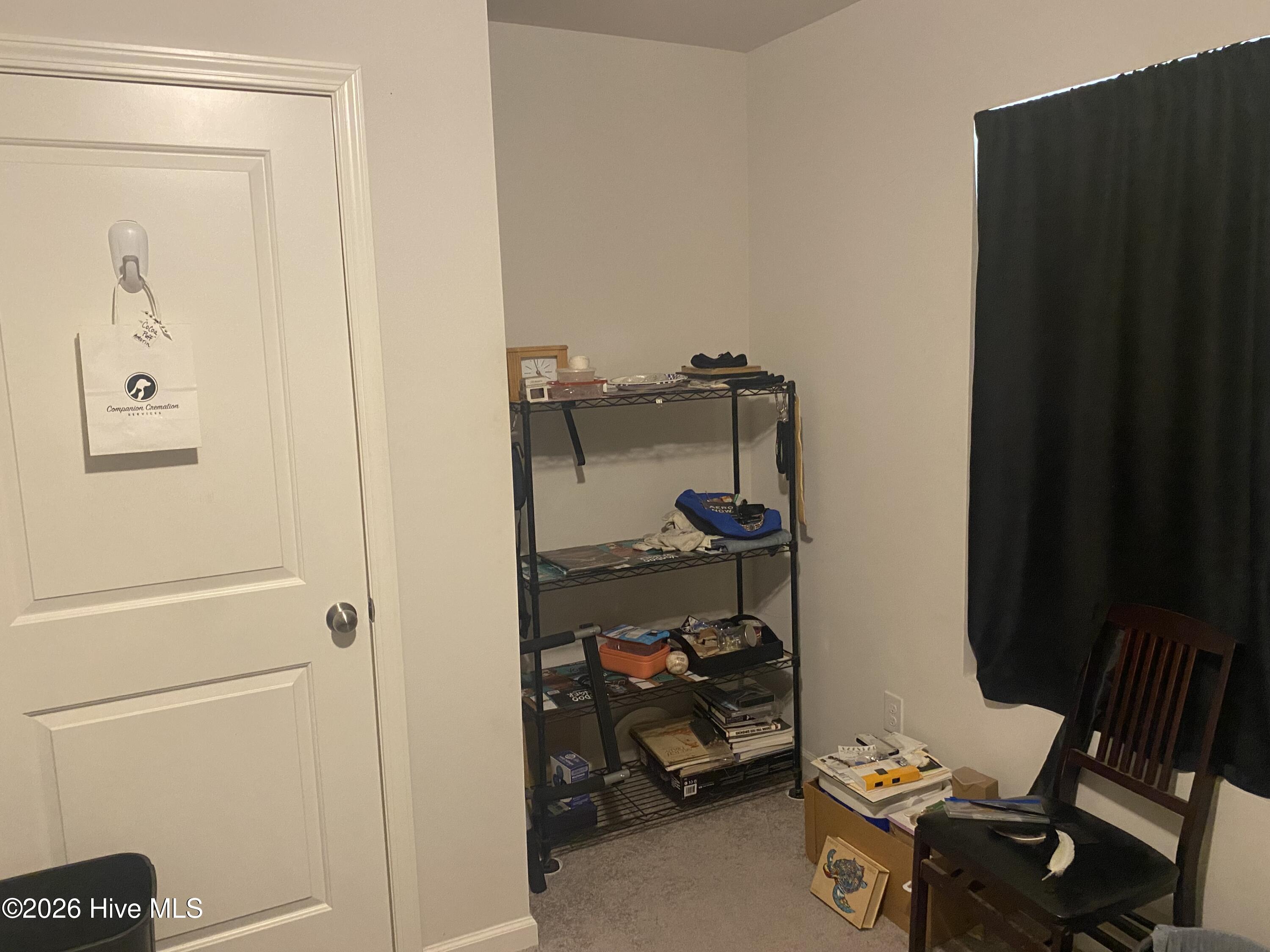 100566692 | Photo 24