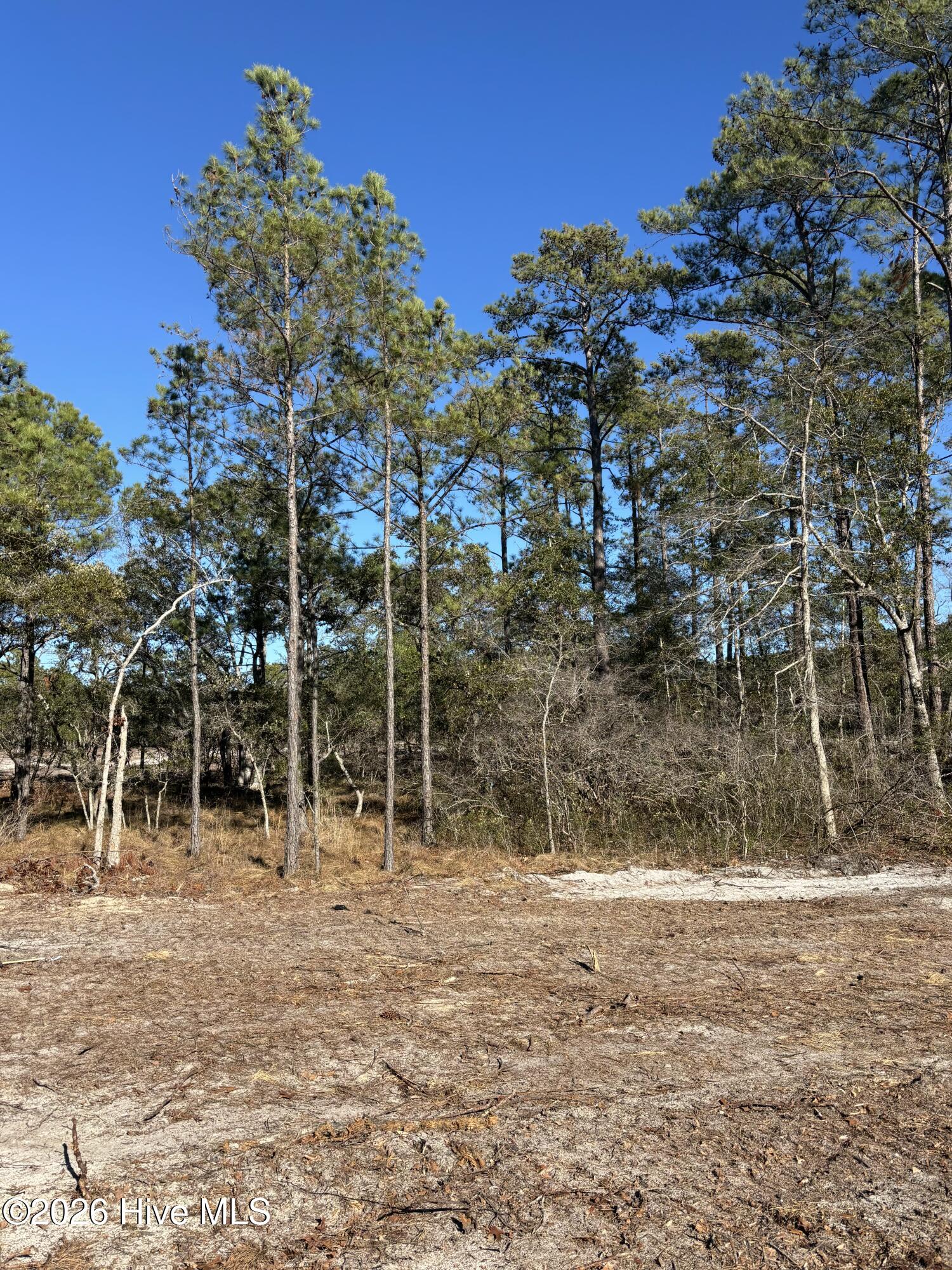 Carolina Barrier Islands
