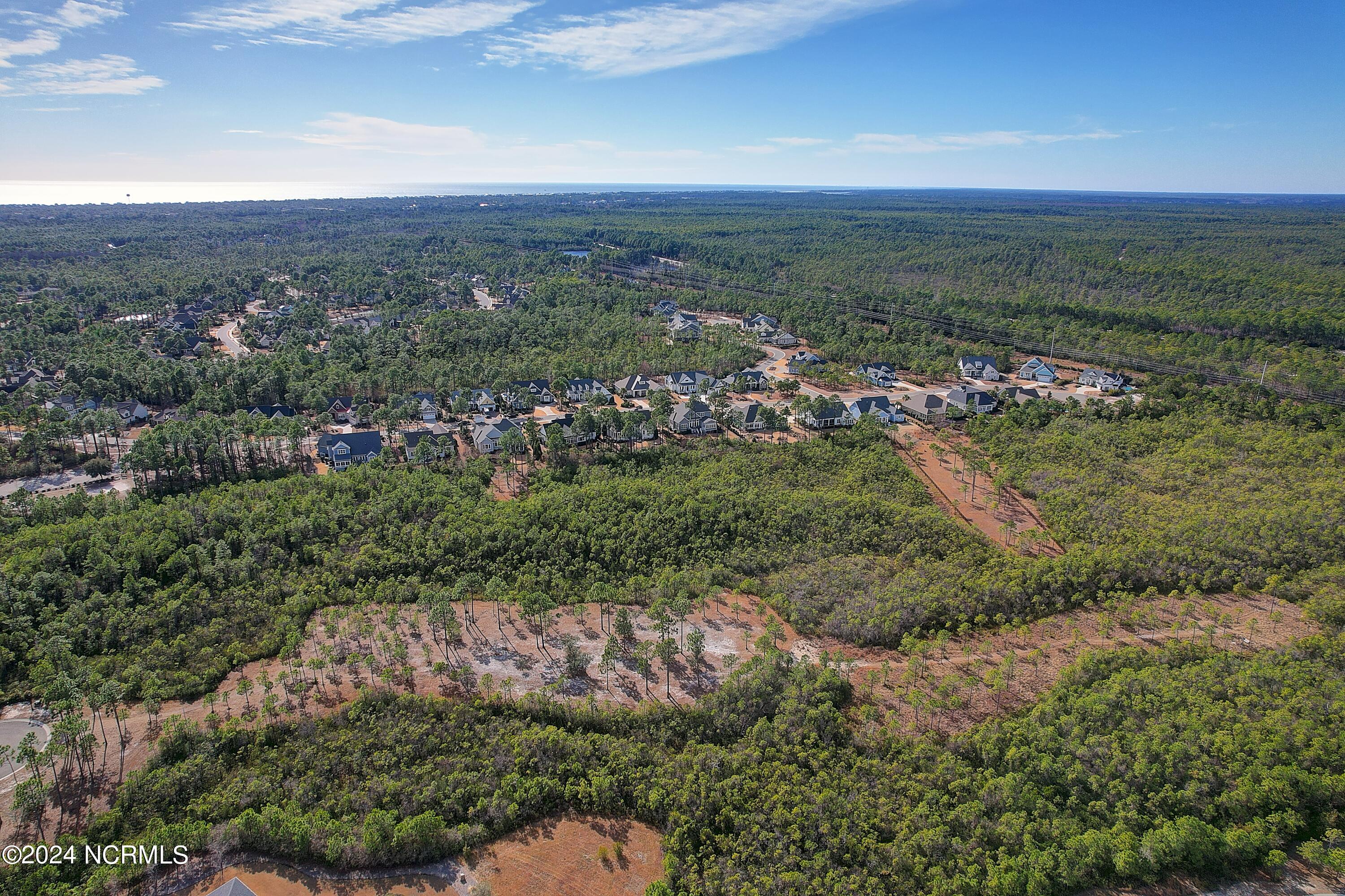 100559108 | Photo 10