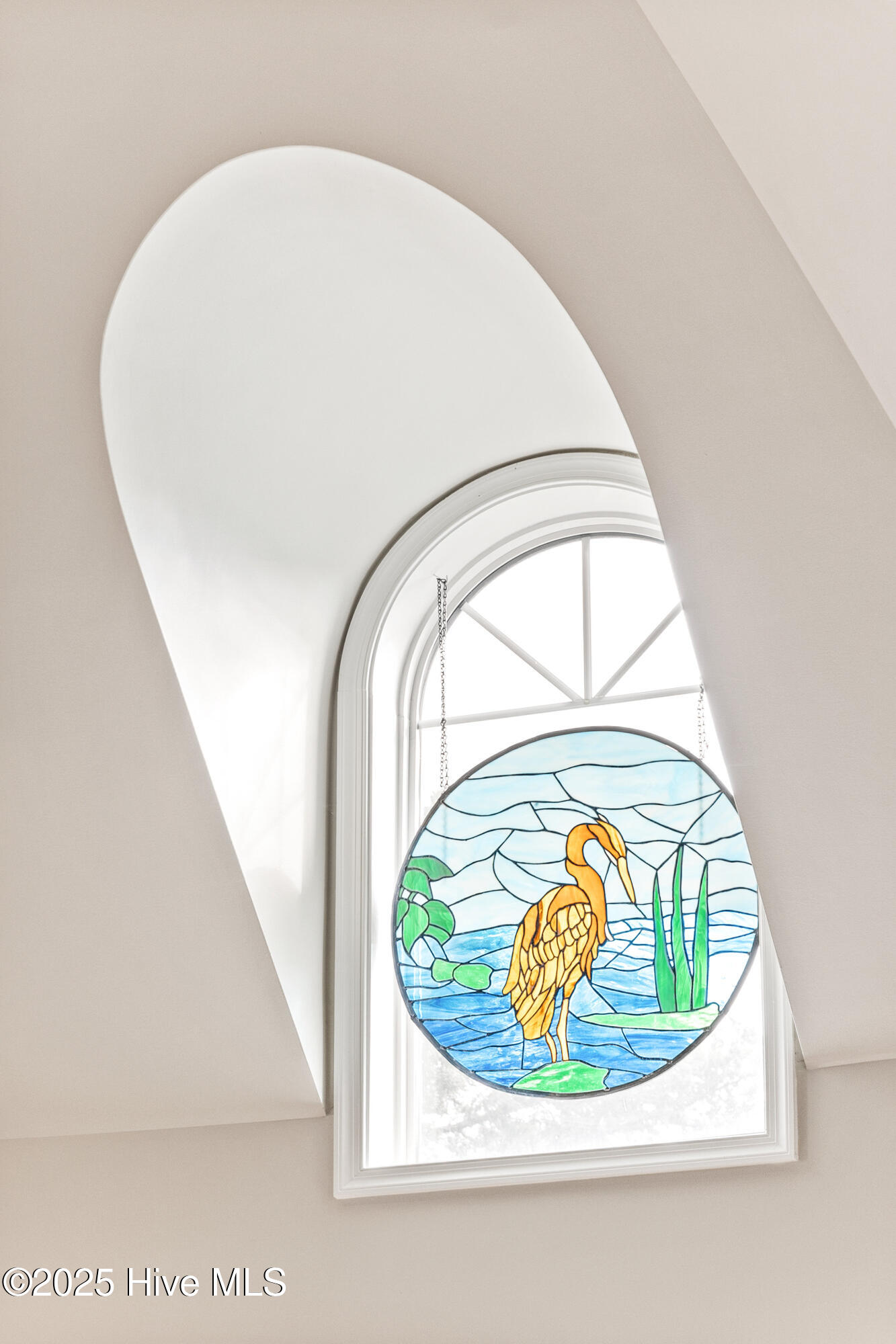 100534013 | Photo 25