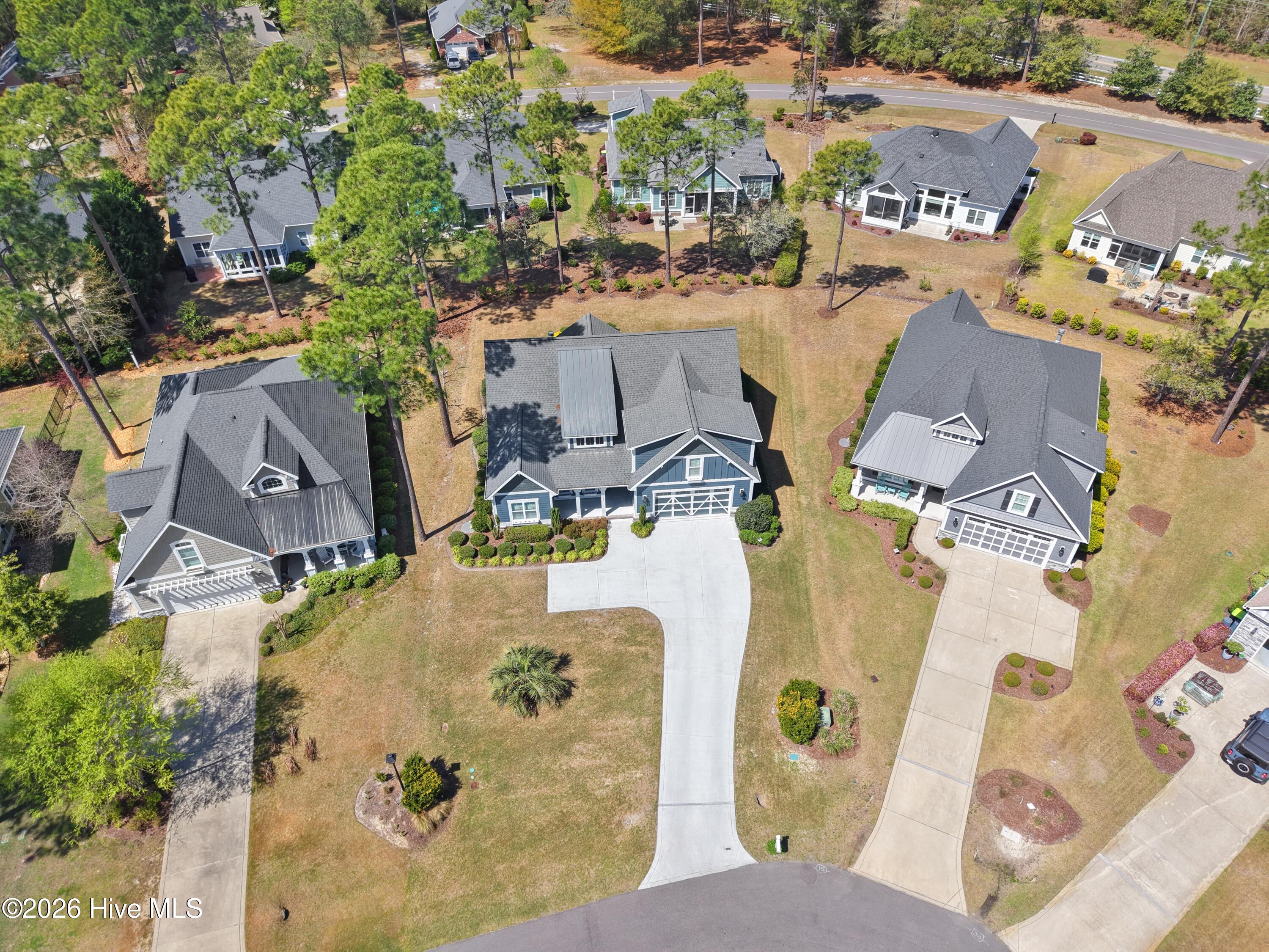 100564386 | Photo 65