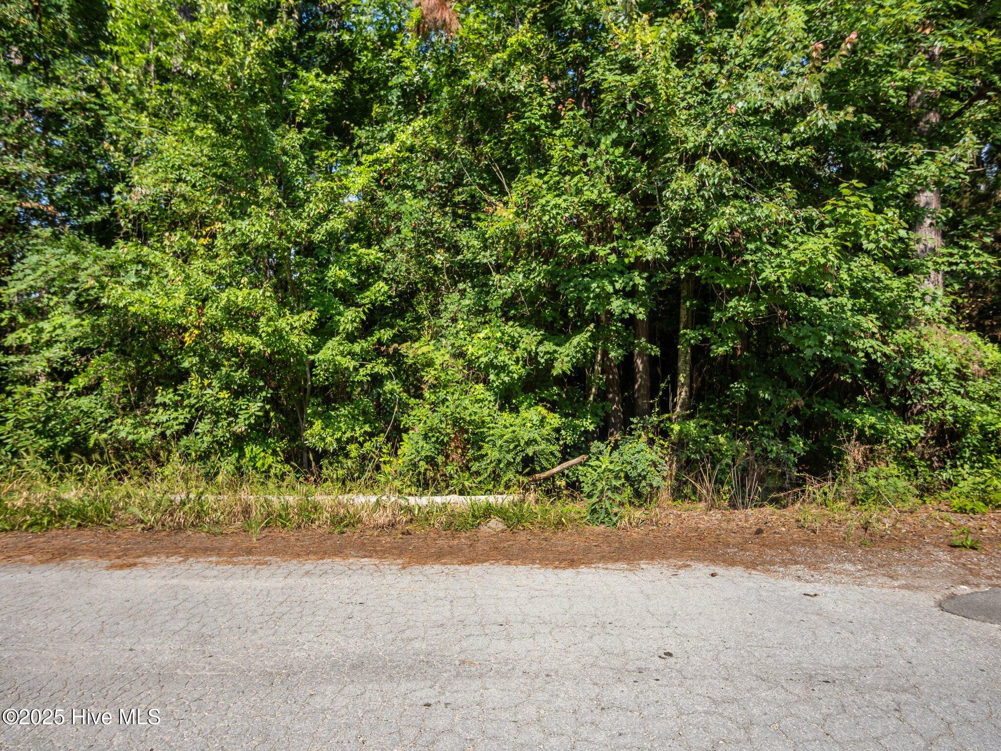 107 Seahorse Drive,Beaufort