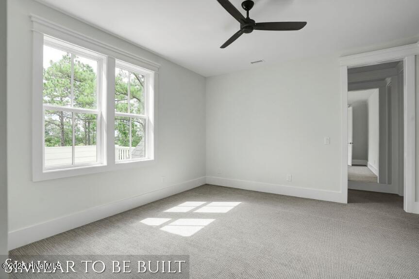 100530157 | Photo 32