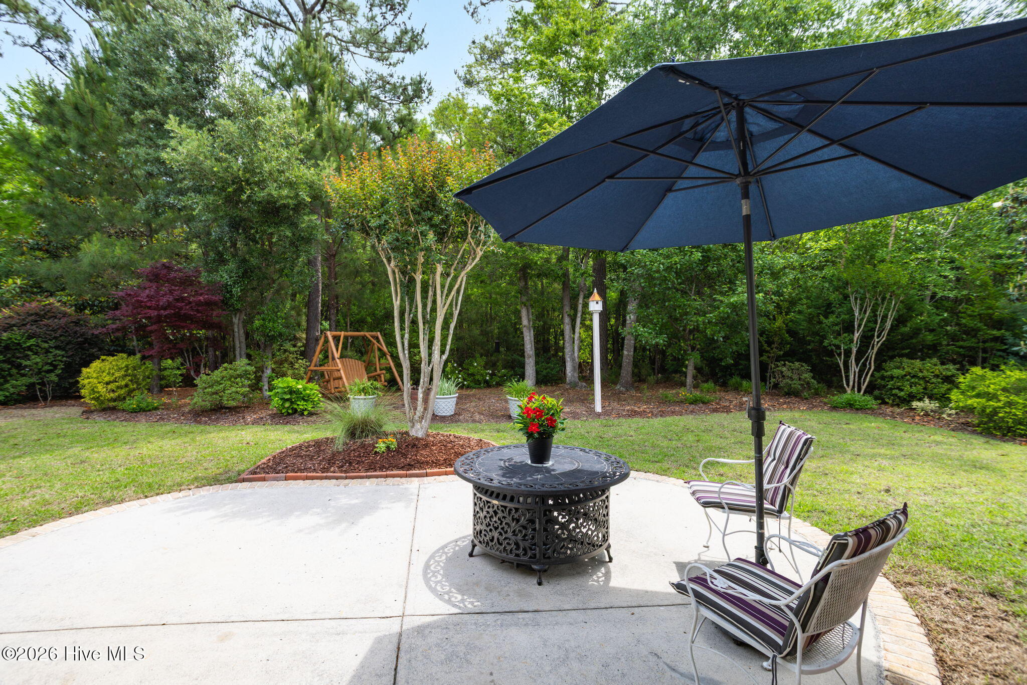 100574178 | Photo 31