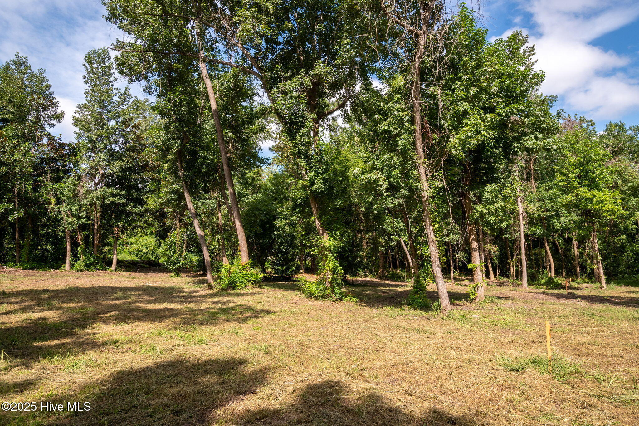 100524642 | Photo 29