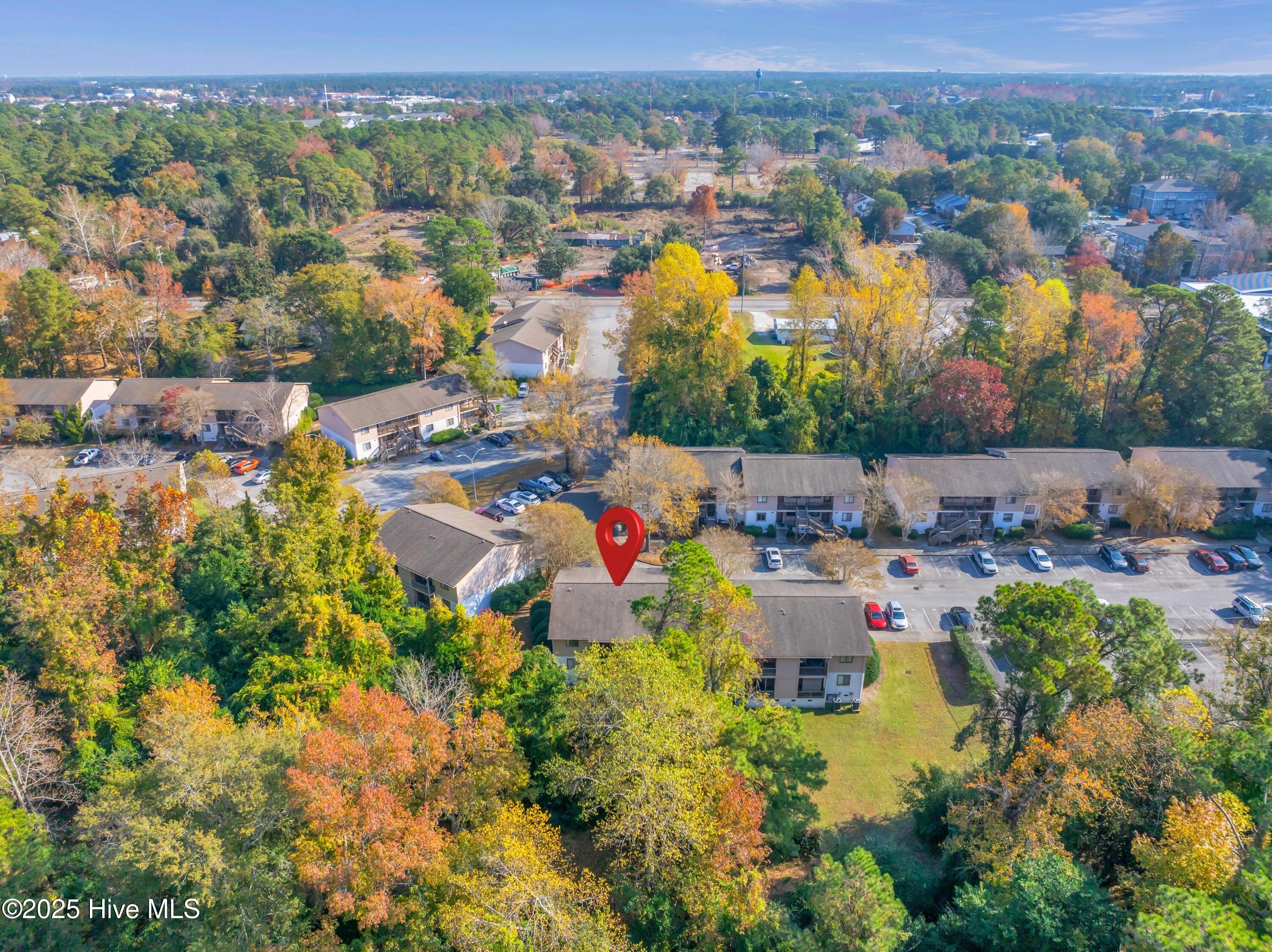 100542371 | Photo 20