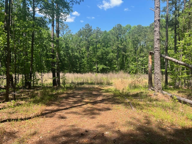 Homes for sale in Lincolnton, GA | 0000 Dooly Springs, Lincolnton, GA 30817 | MLS# 528227