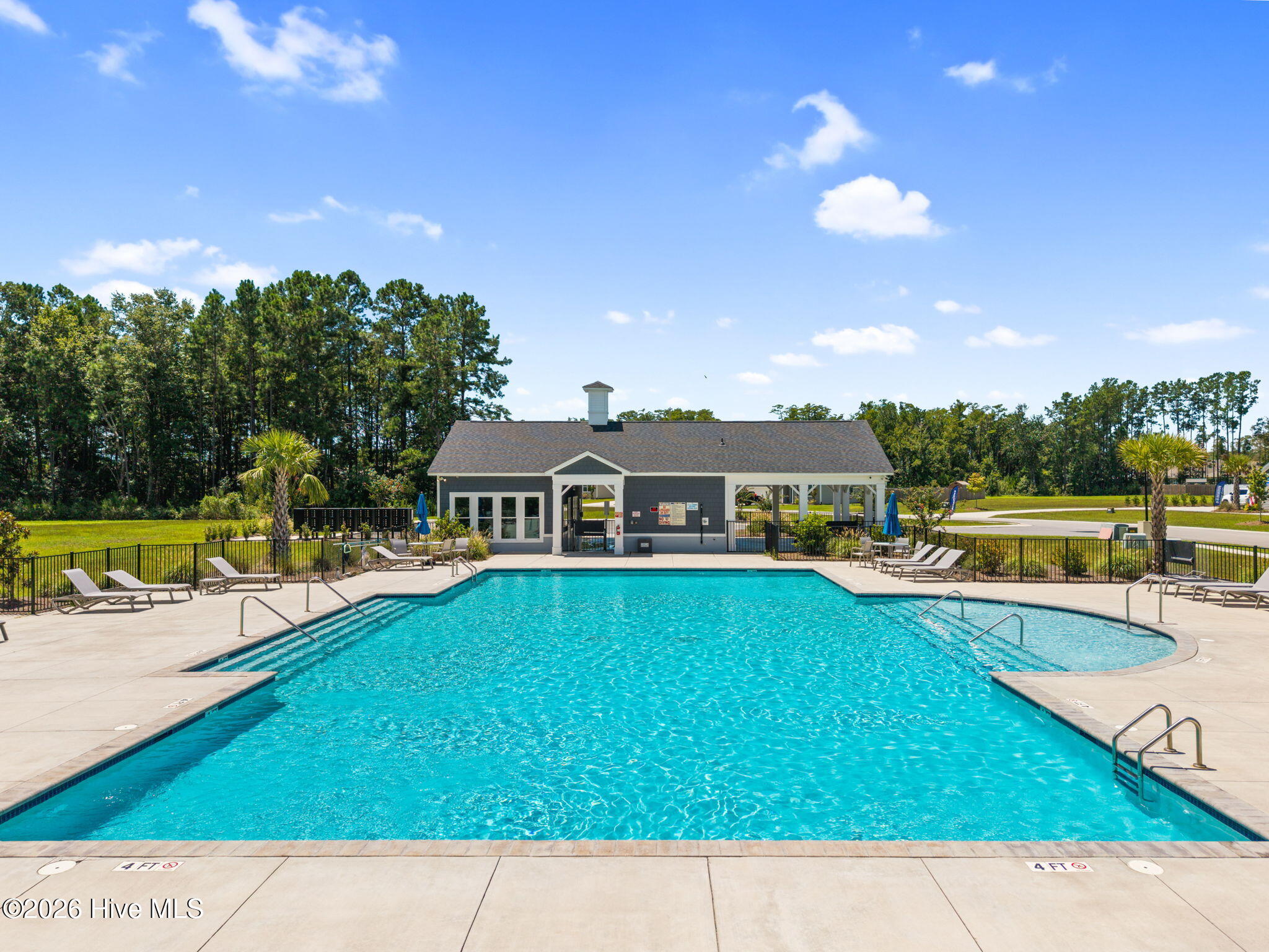 100556458 | Photo 40