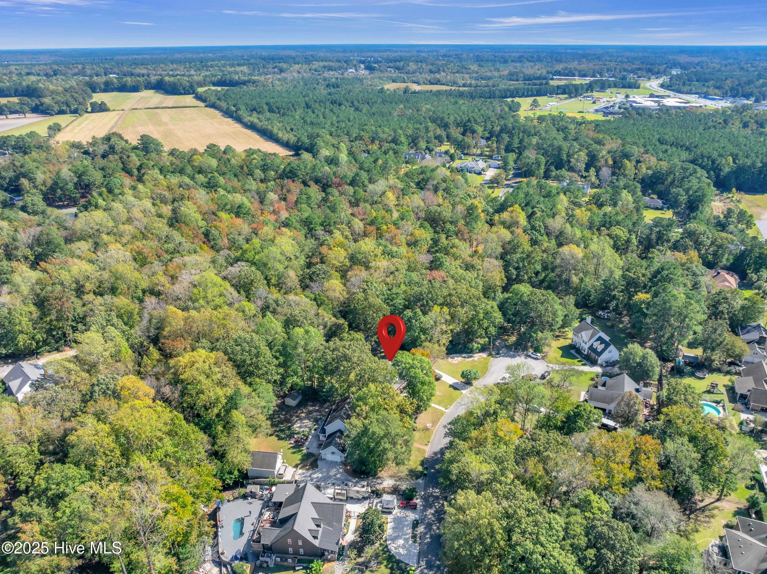 100537583 | Photo 50