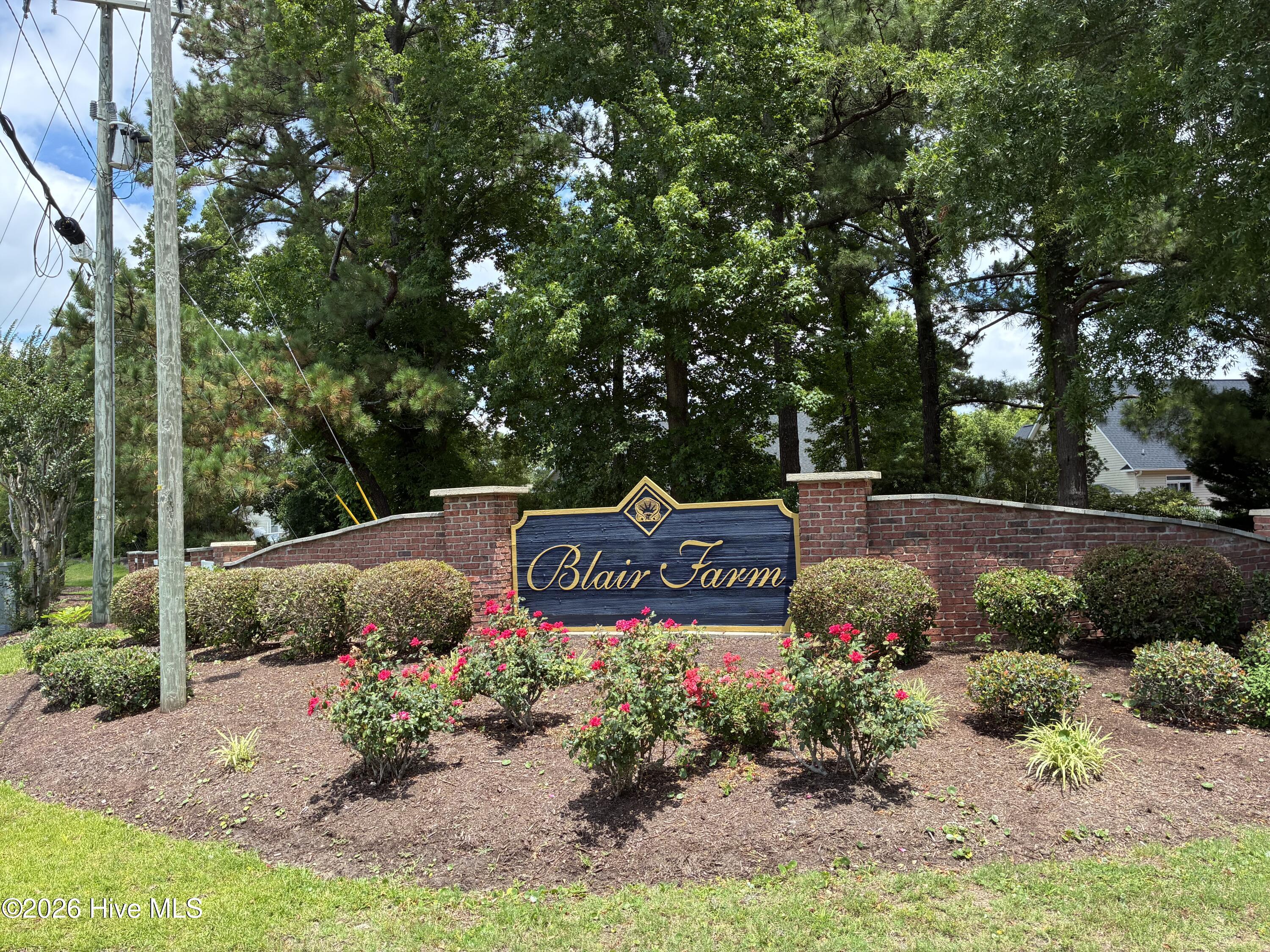 1802 227 Arctic Tern Court,Morehead City