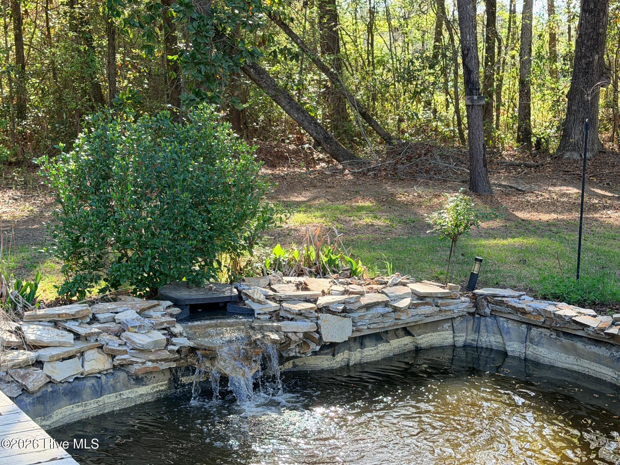 100565129 | Photo 94