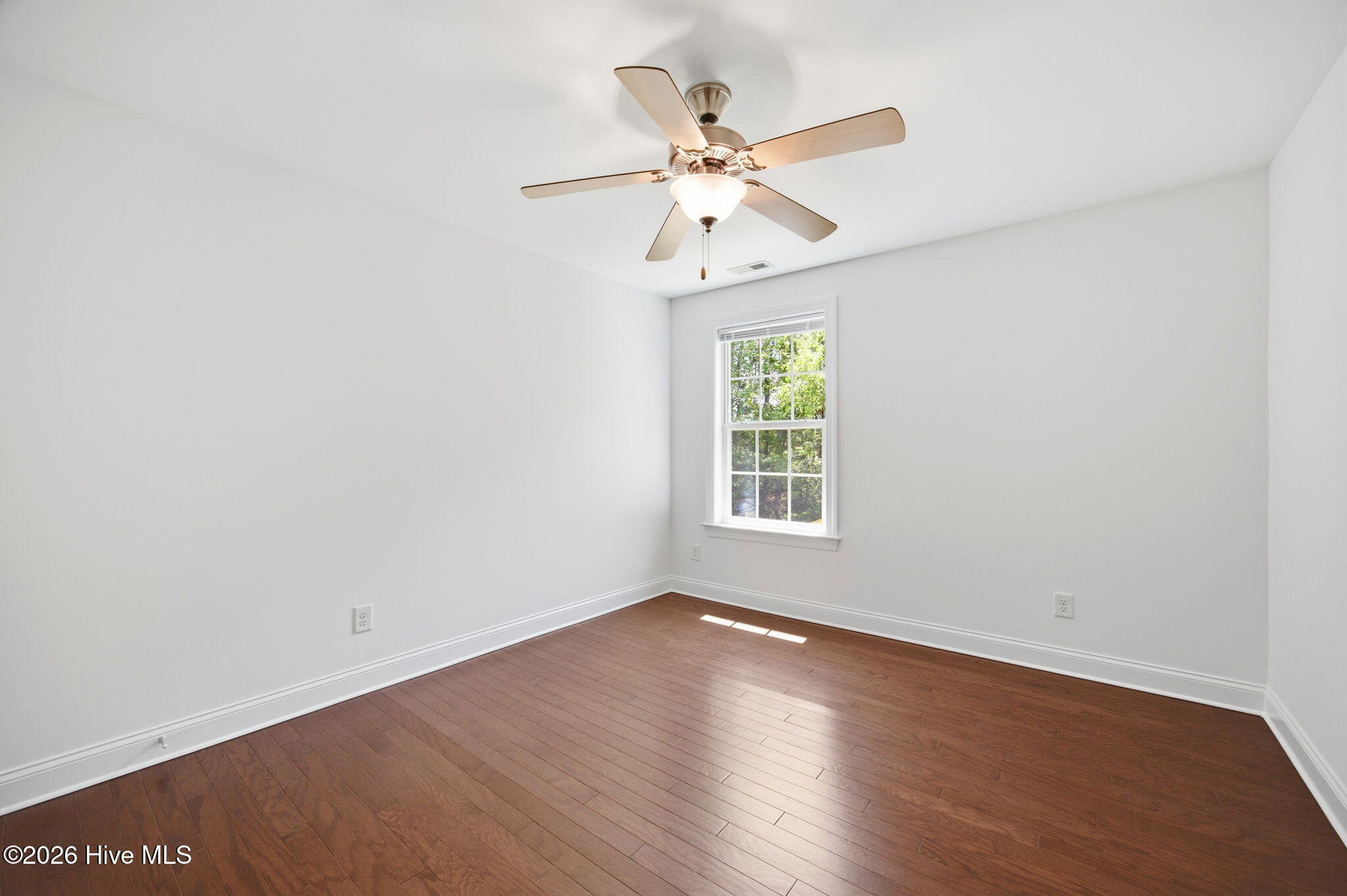 100569504 | Photo 27