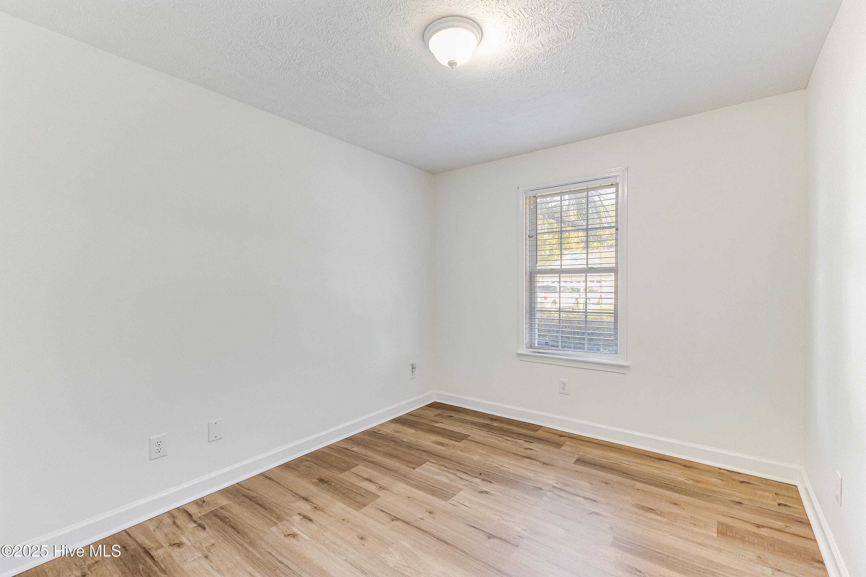 100541535 | Photo 20