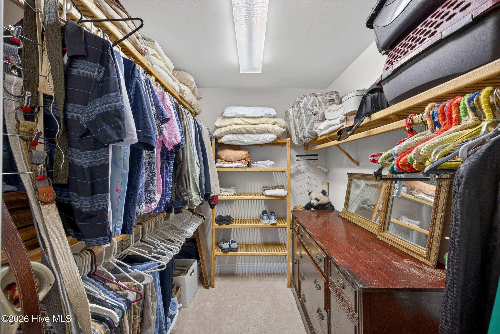 100567752 | Photo 31