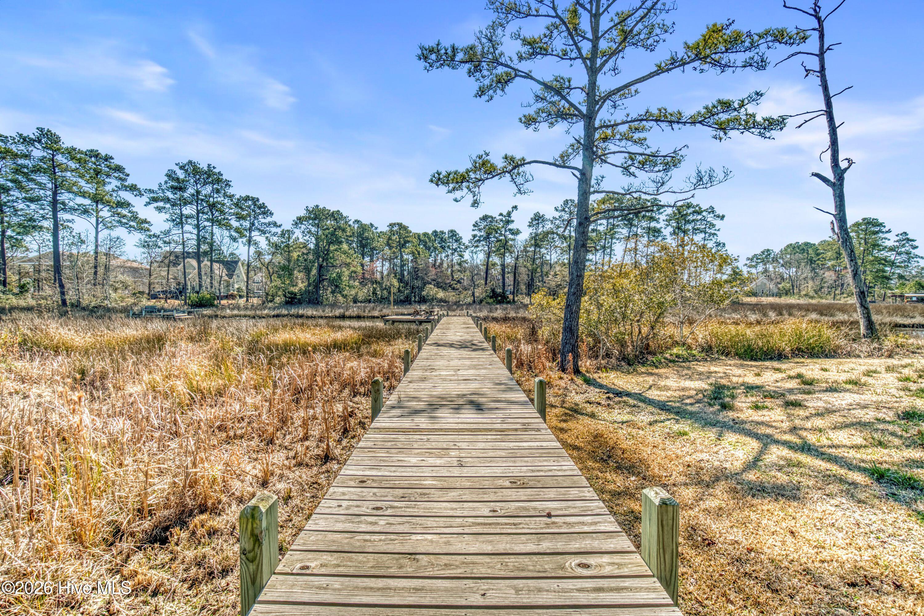 100557906 | Photo 18