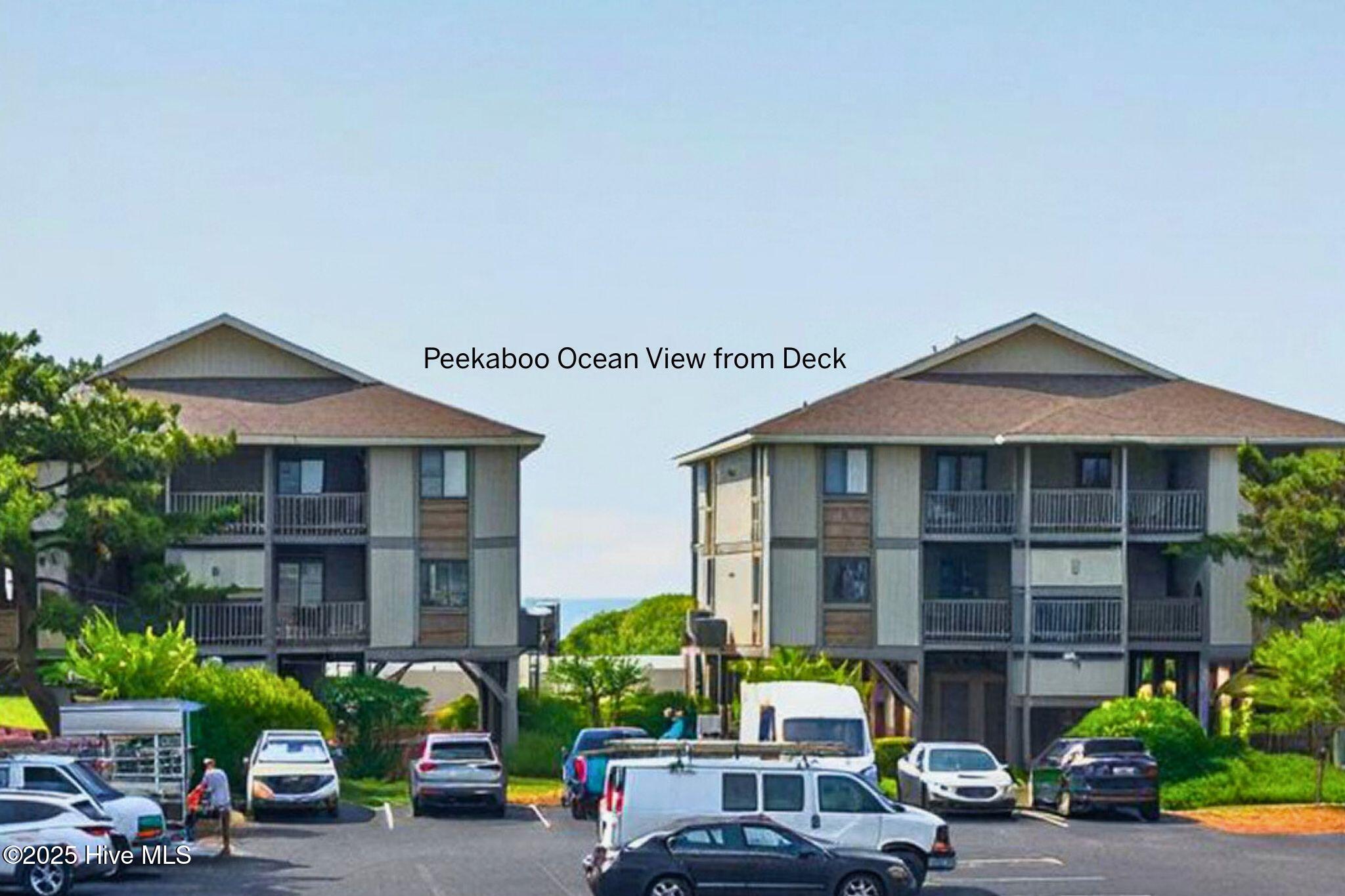 100508877 | Photo 38