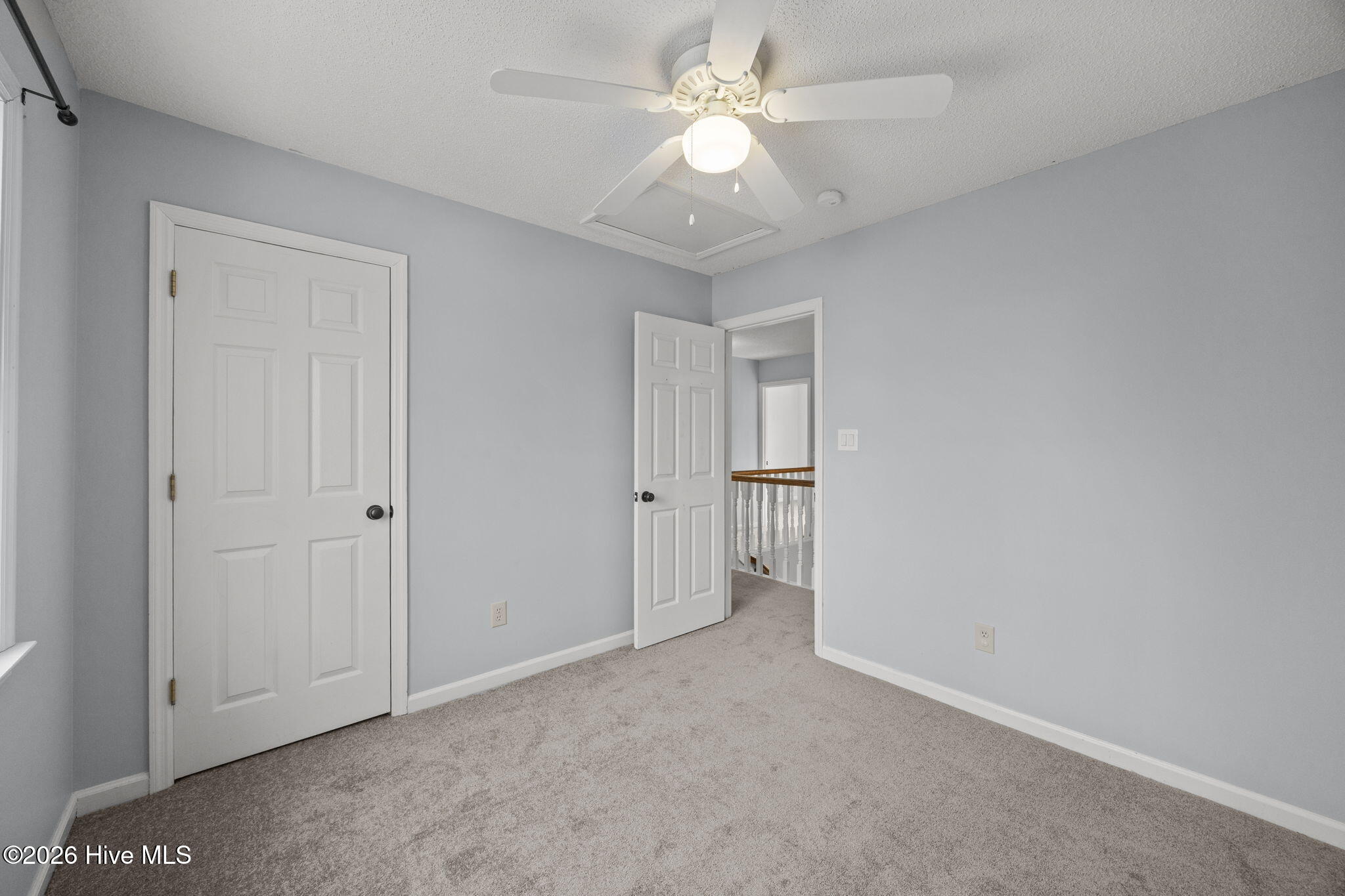 100552786 | Photo 19