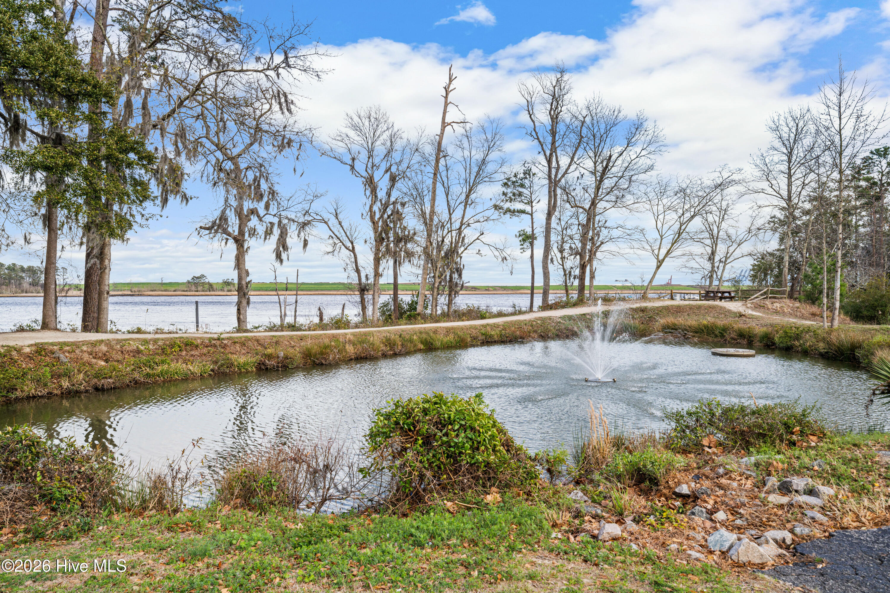 100563729 | Photo 73