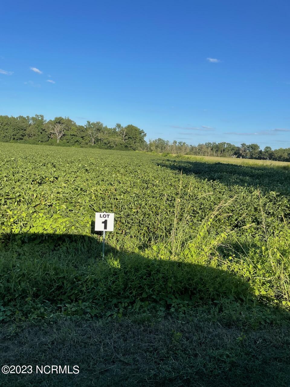 Homes for sale in Roseboro, NC | 4600 4800 Dunn Rd, Roseboro, NC 28382 | MLS# 100402374