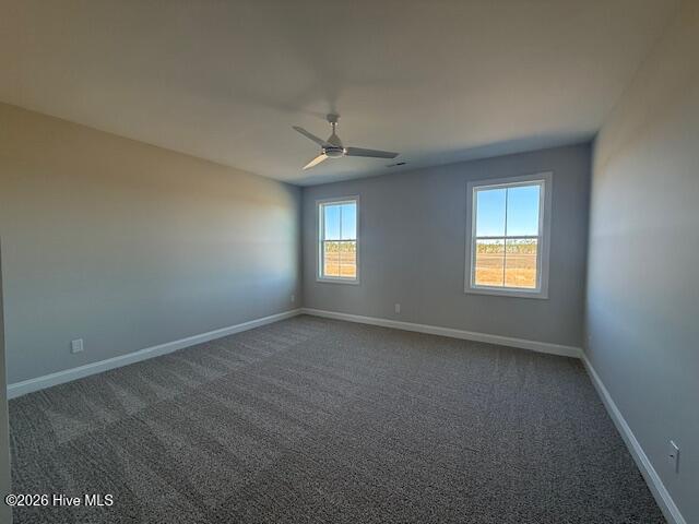 100559228 | Photo 25