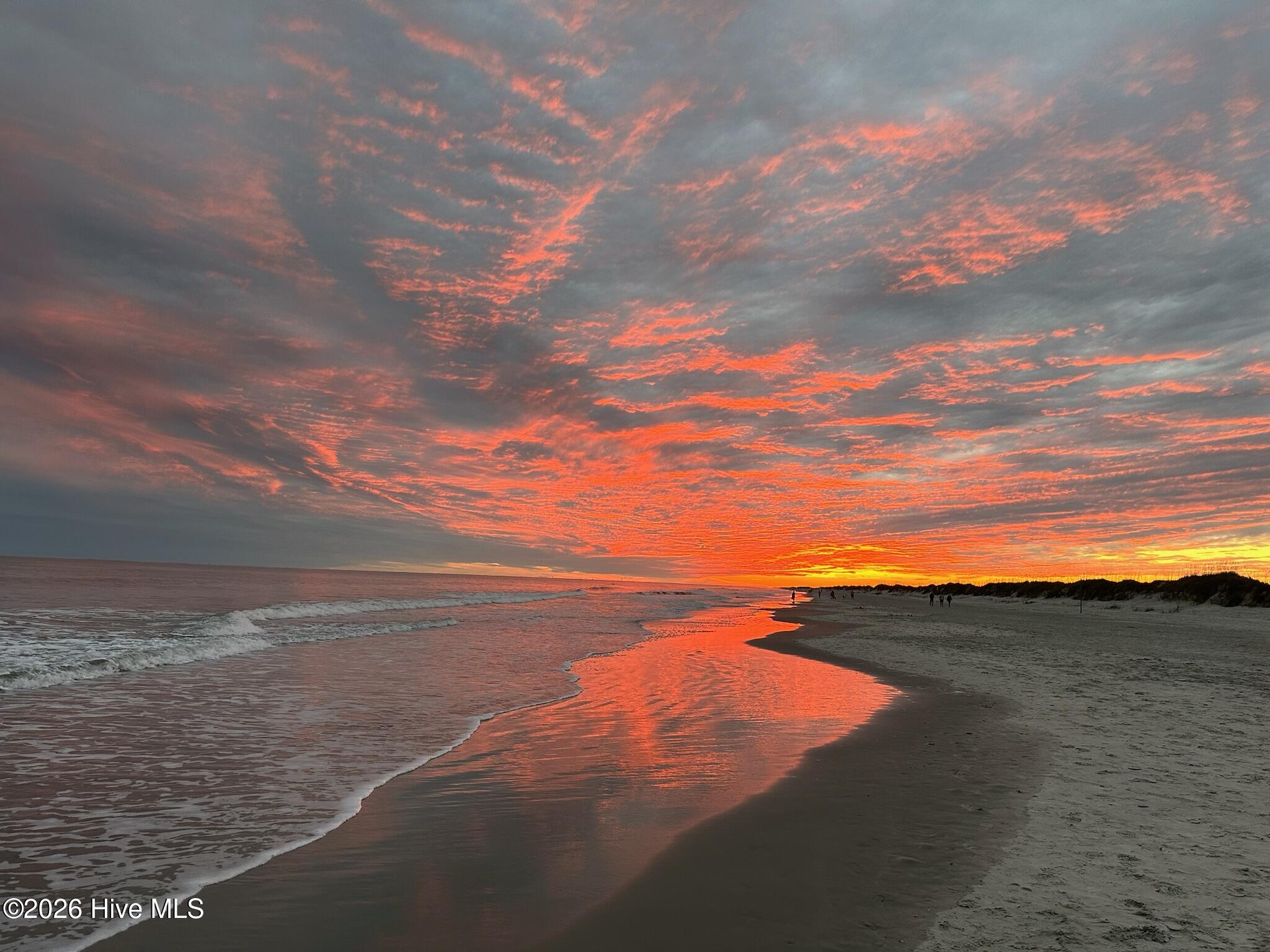 100554376 | Photo 35