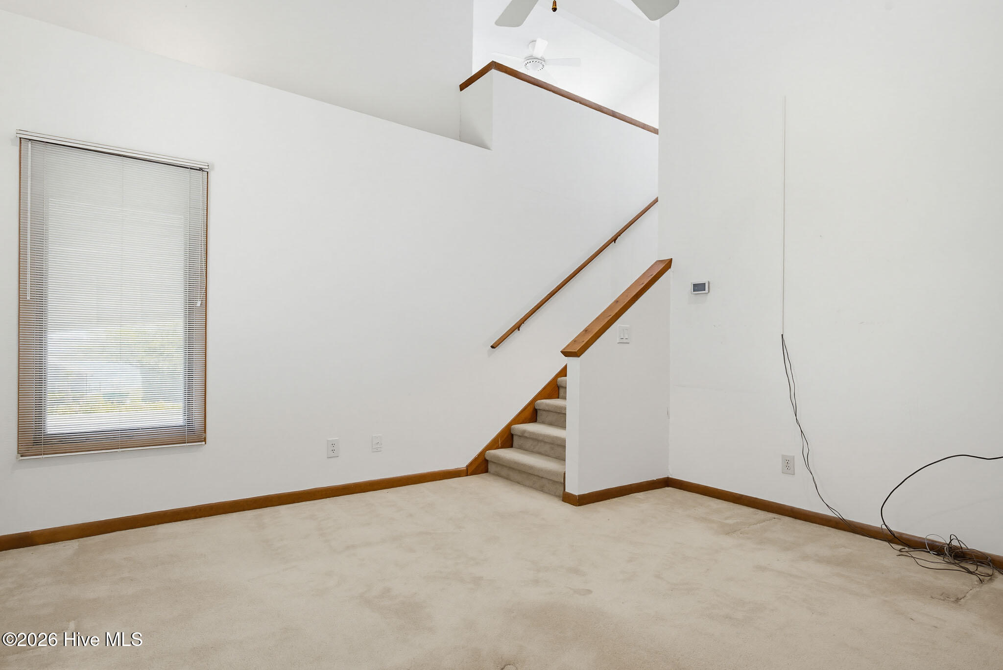 100568983 | Photo 50