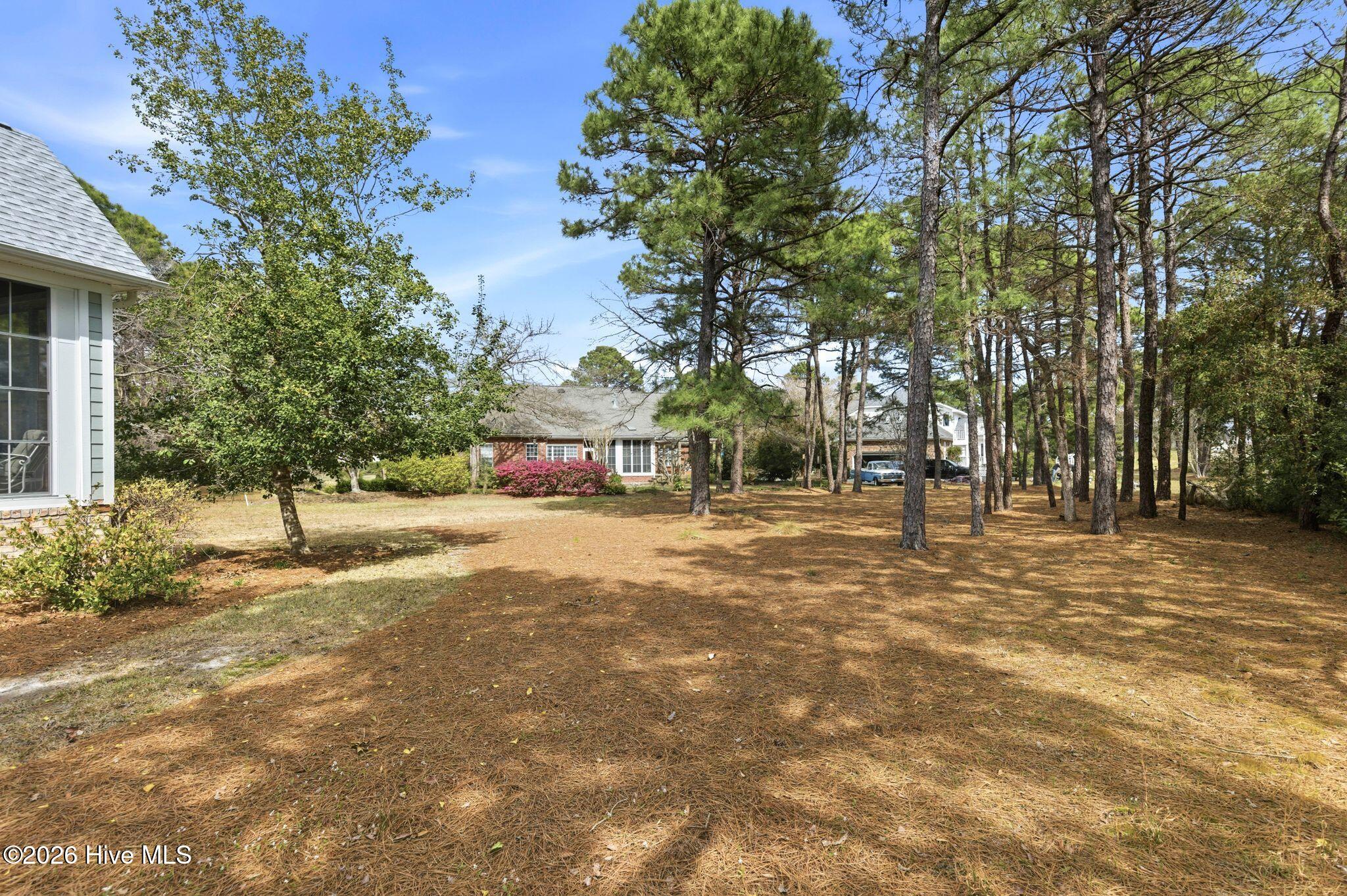 100564231 | Photo 70