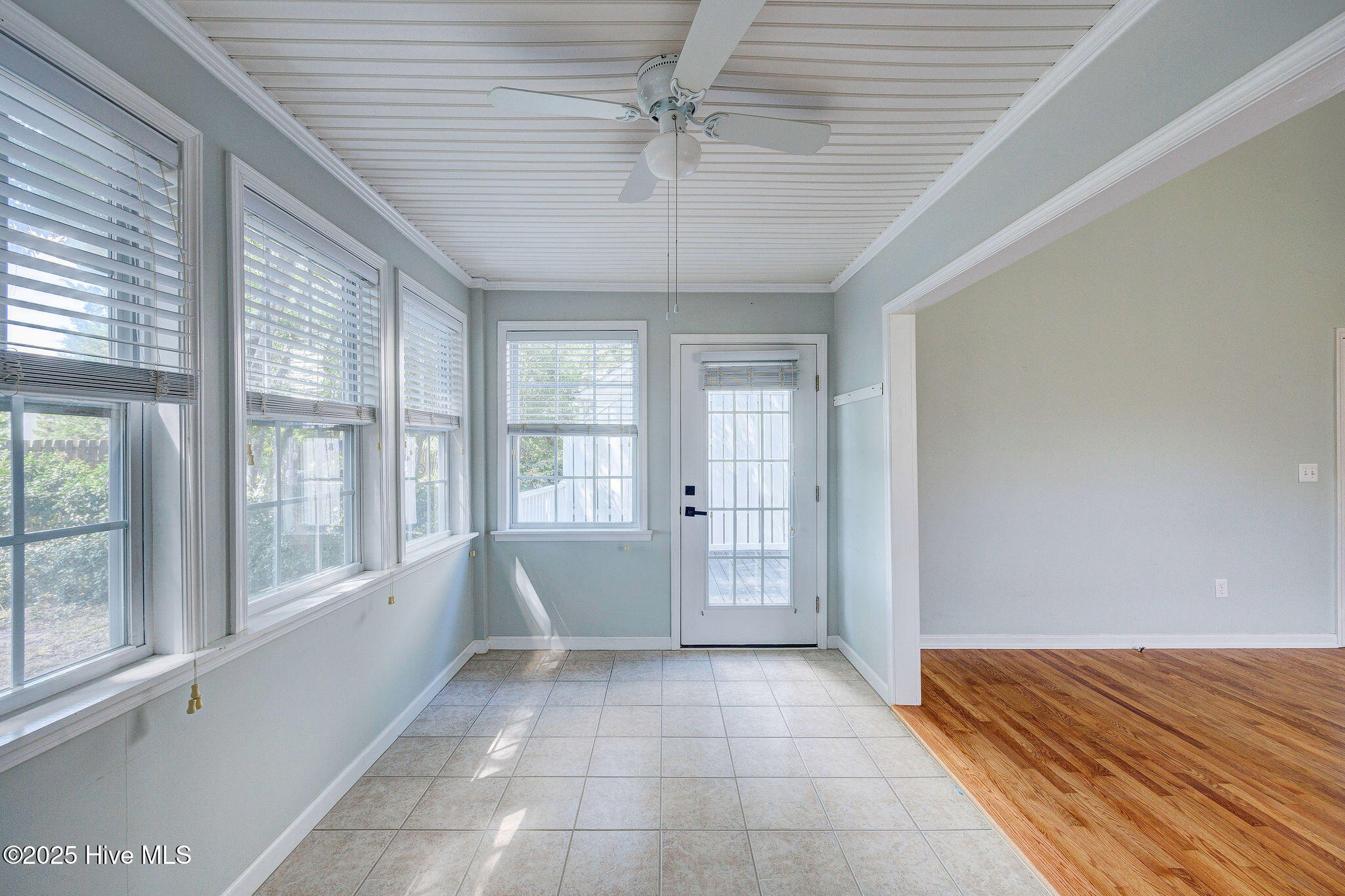 100531584 | Photo 22