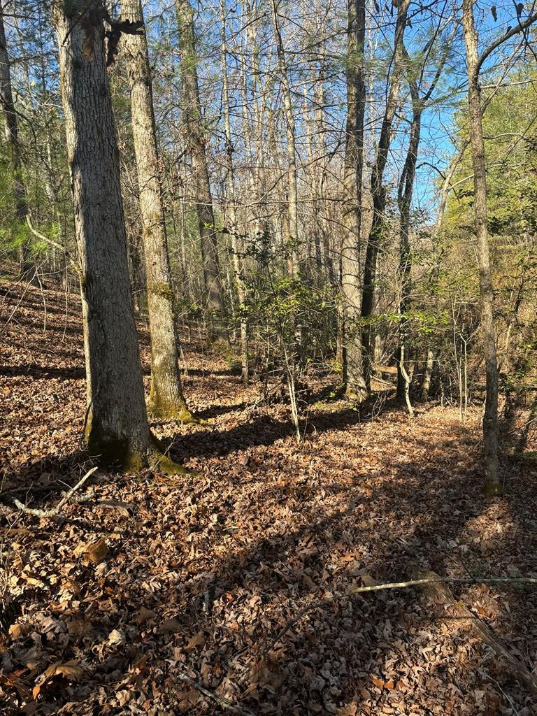 Exterior photo of 1.03 Deep Forest Road, Murphy, NC 28906. MLS: 98518891