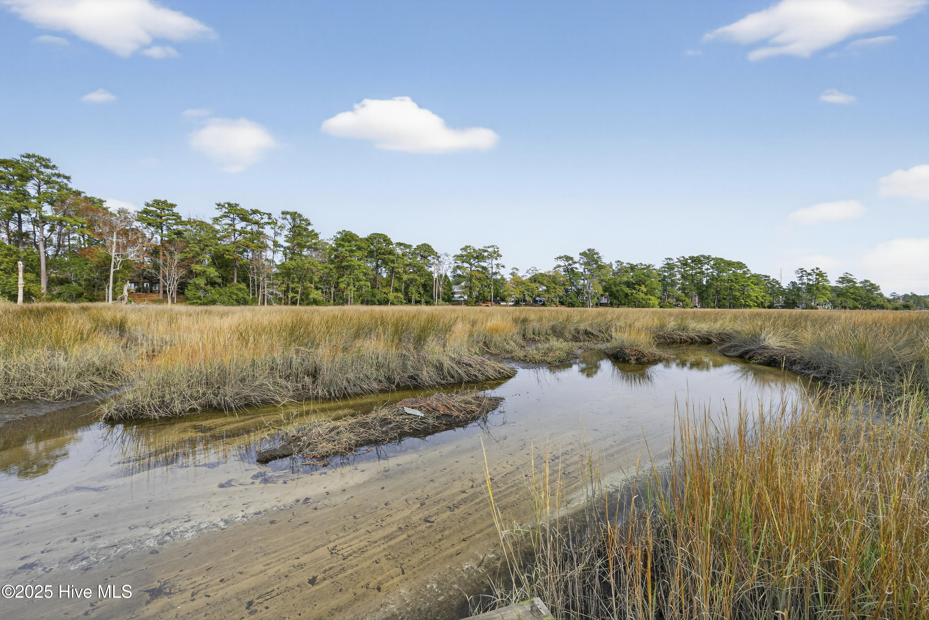 100543749 | Photo 41