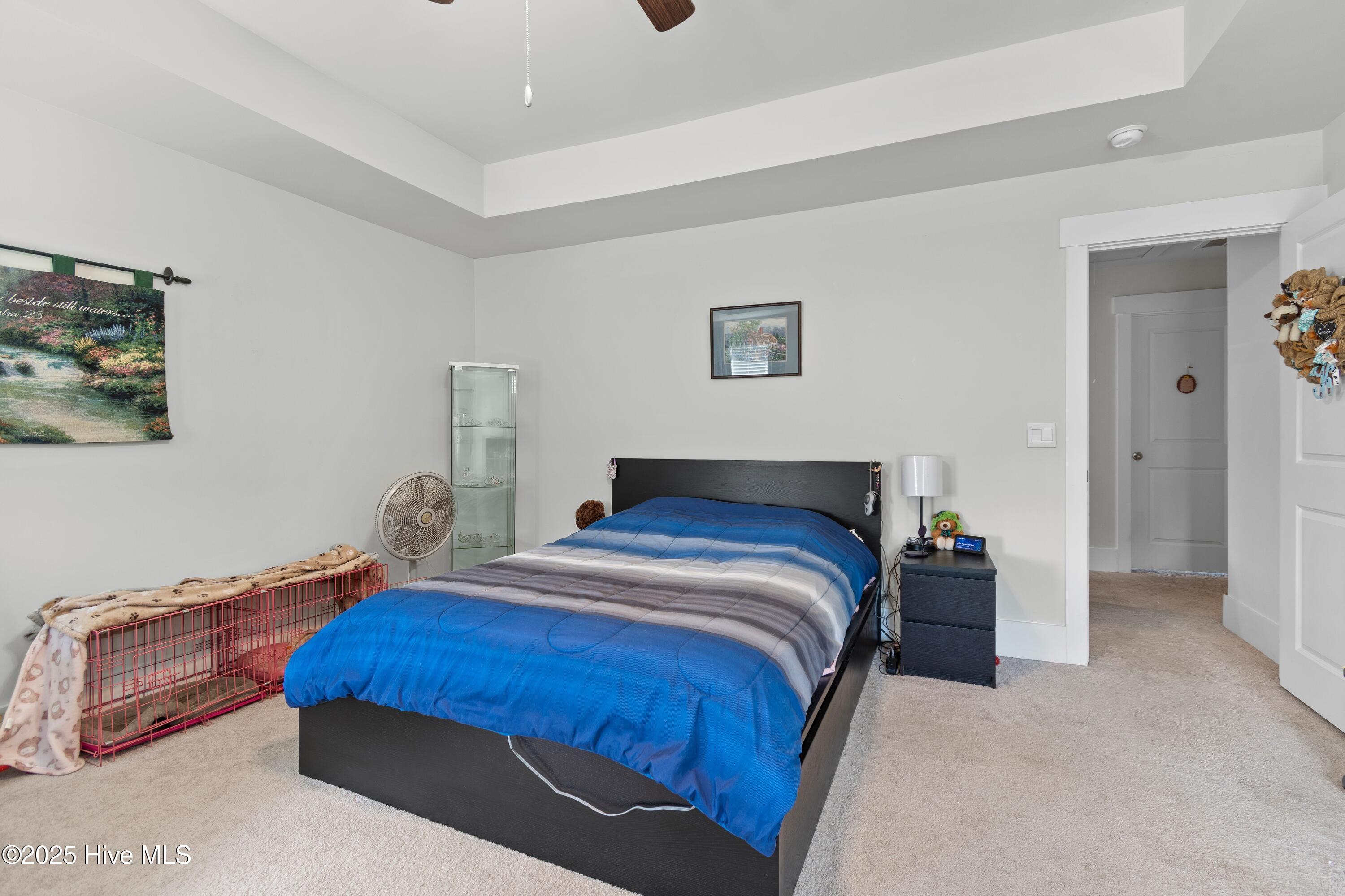 100497017 | Photo 16