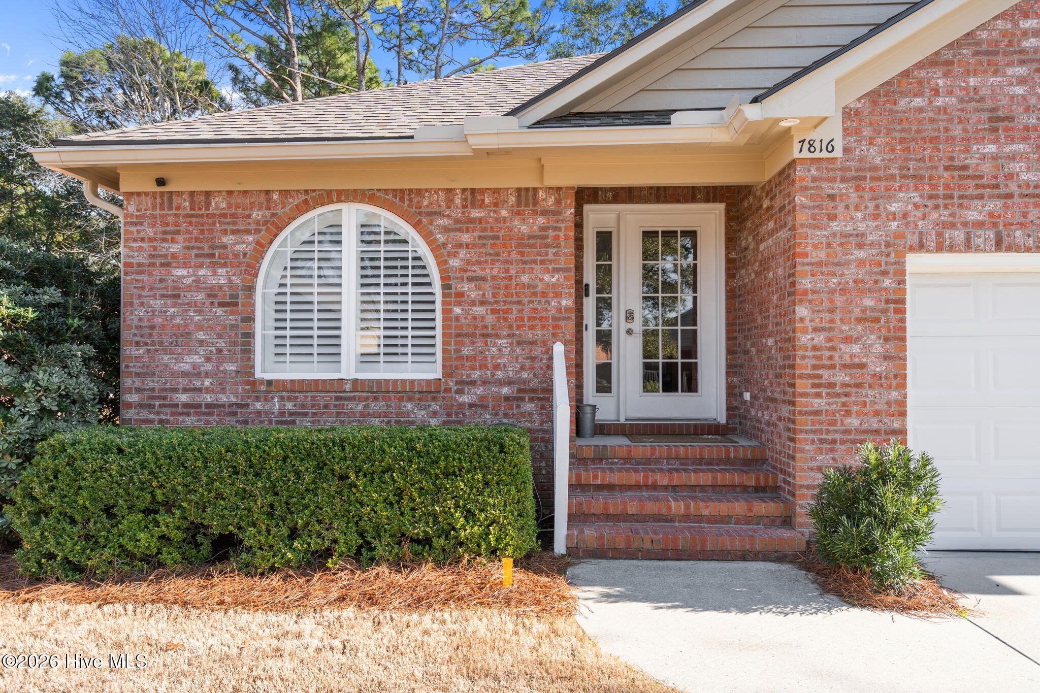 100552343 | Photo 40