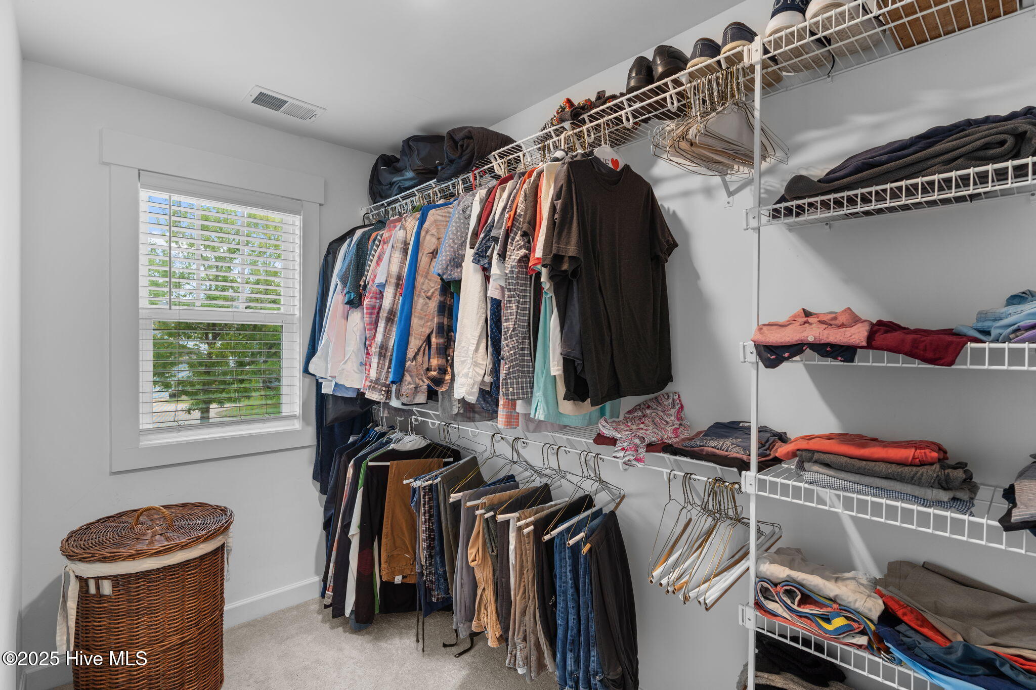 100526886 | Photo 34