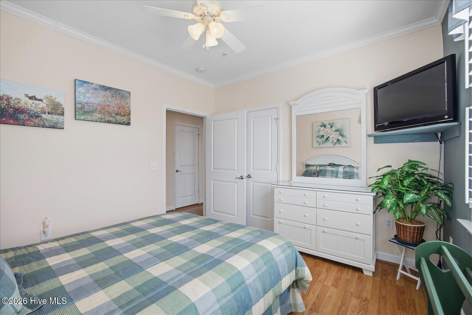 100558706 | Photo 24