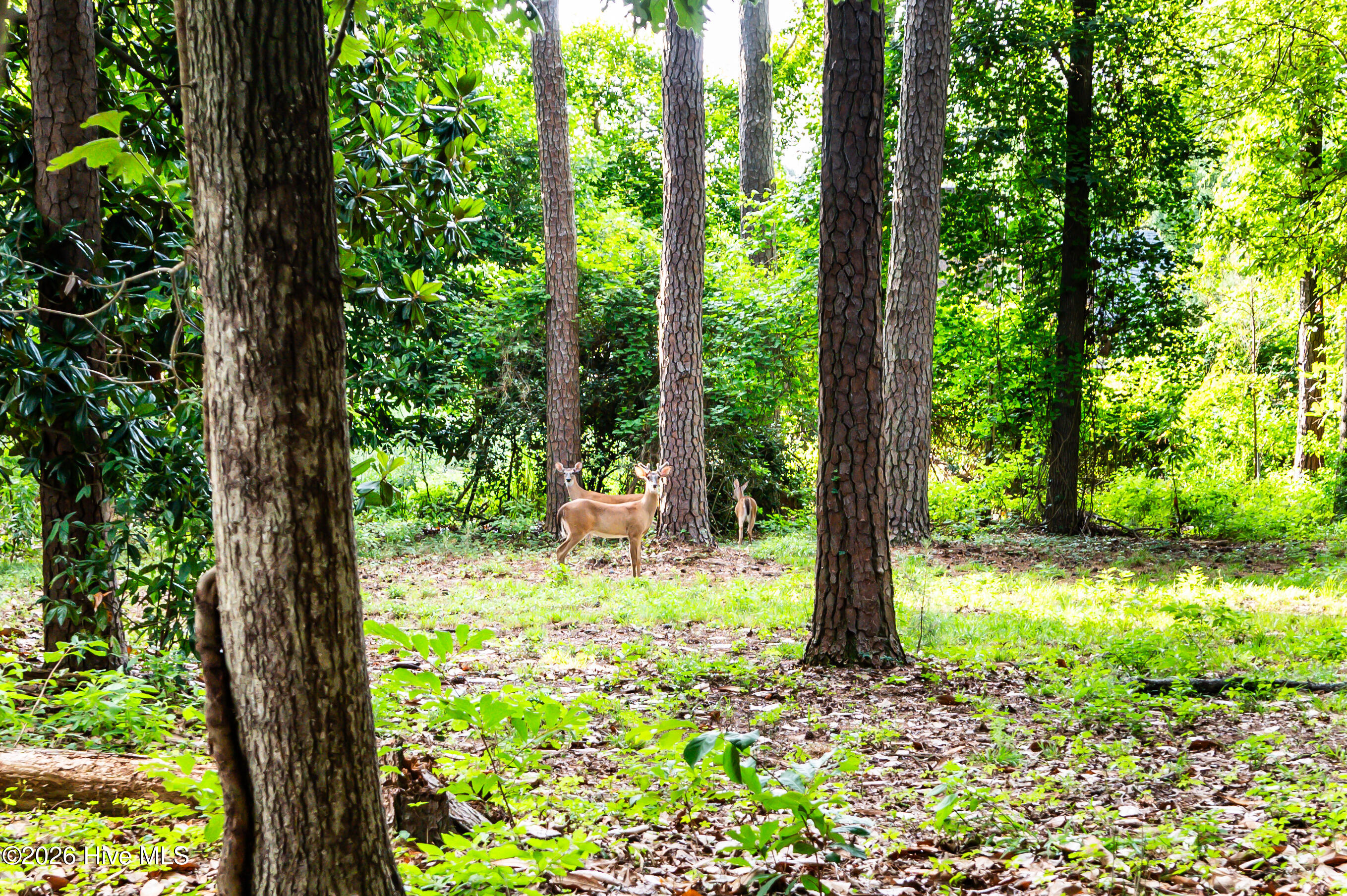 512 Haywood Creek Drive,Trent Woods