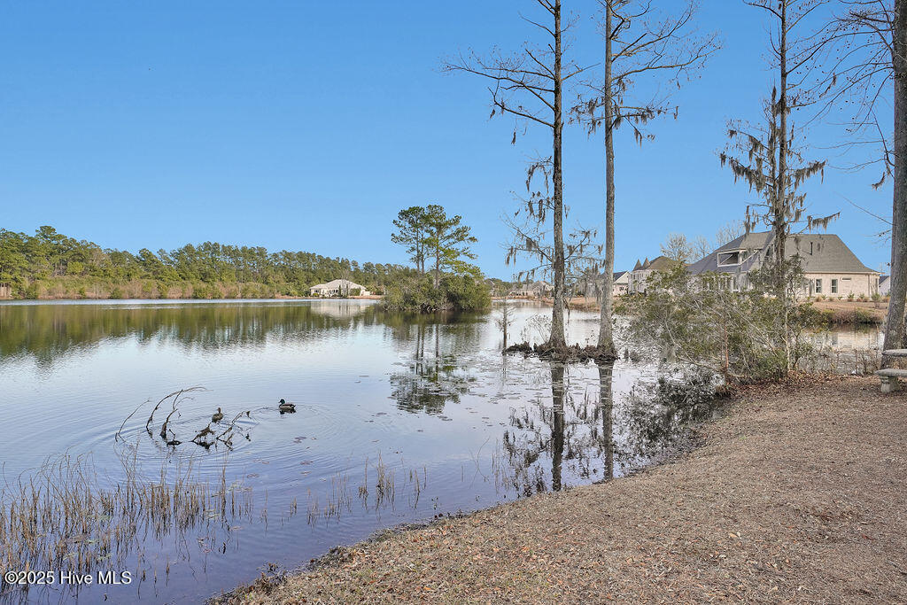 100531684 | Photo 66