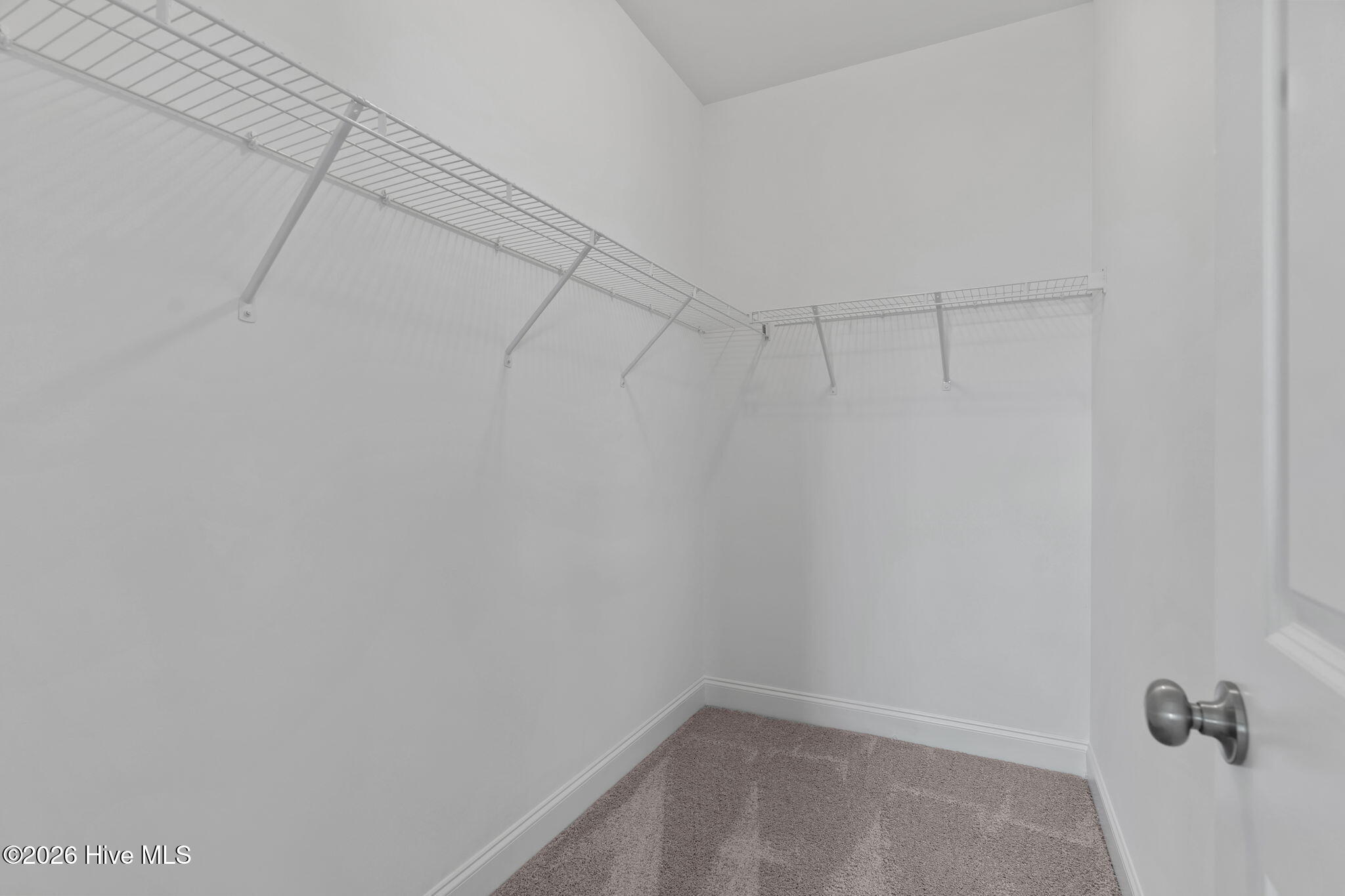 100556370 | Photo 18