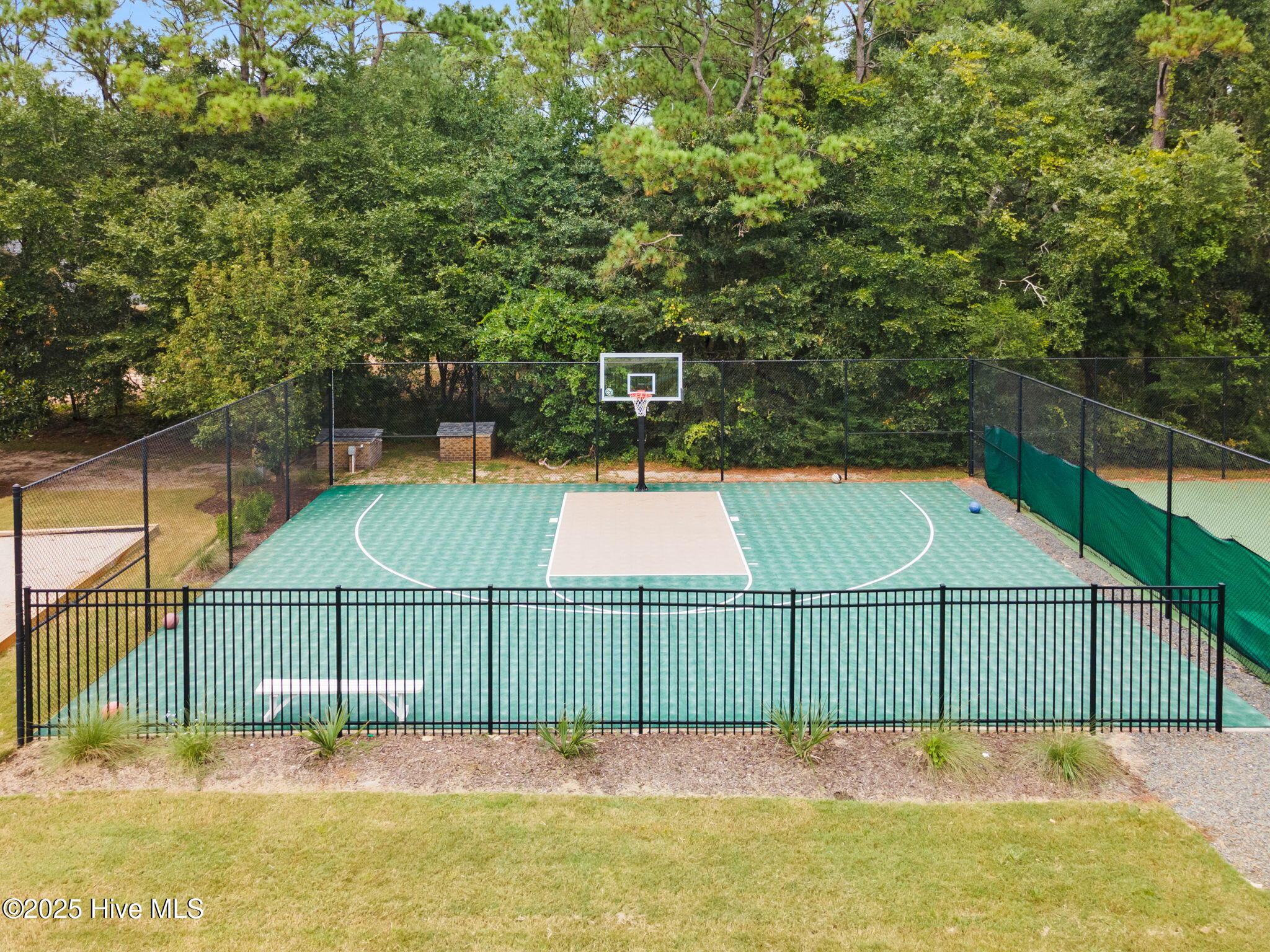 100542585 | Photo 35