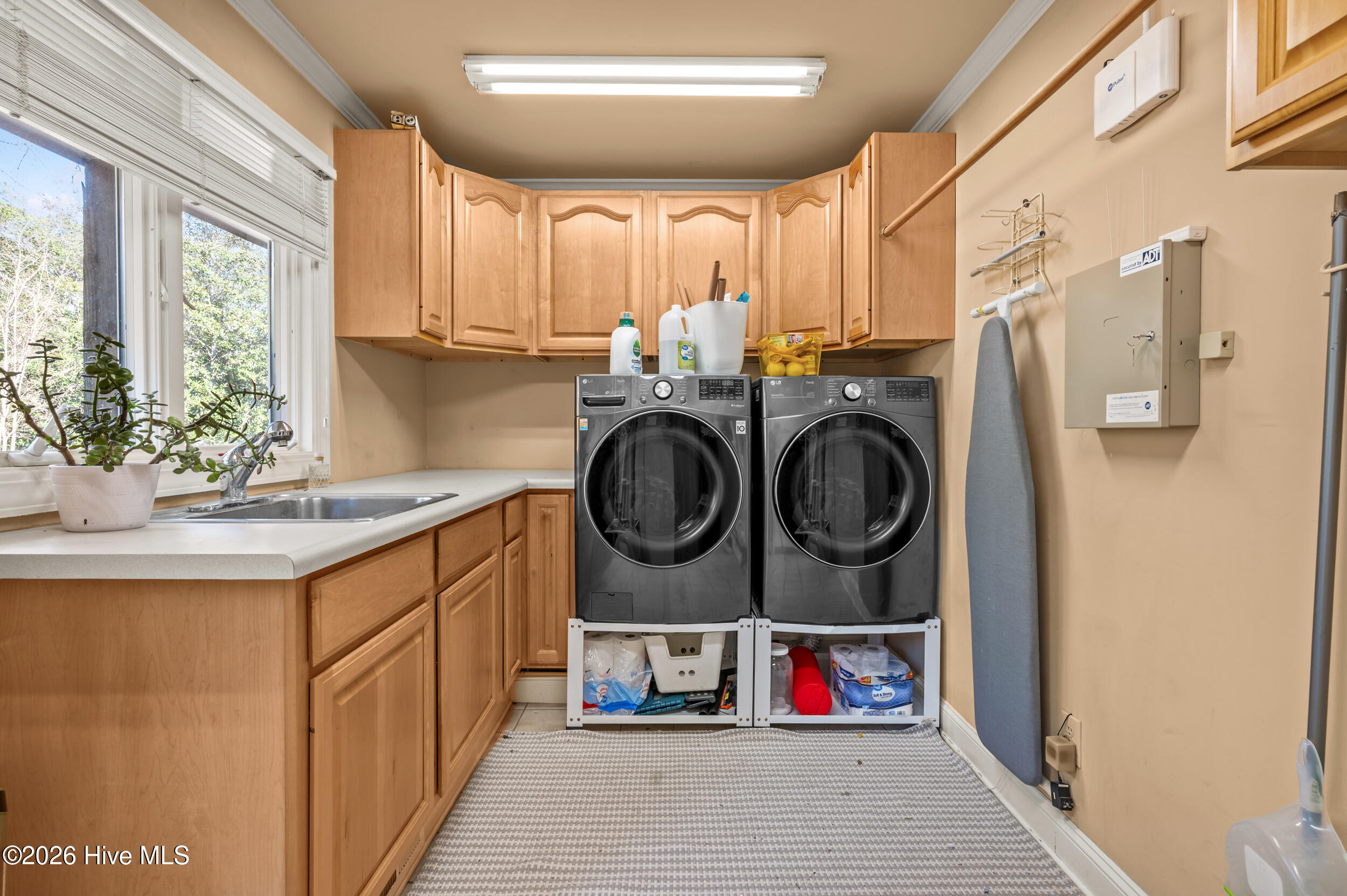 100554057 | Photo 28