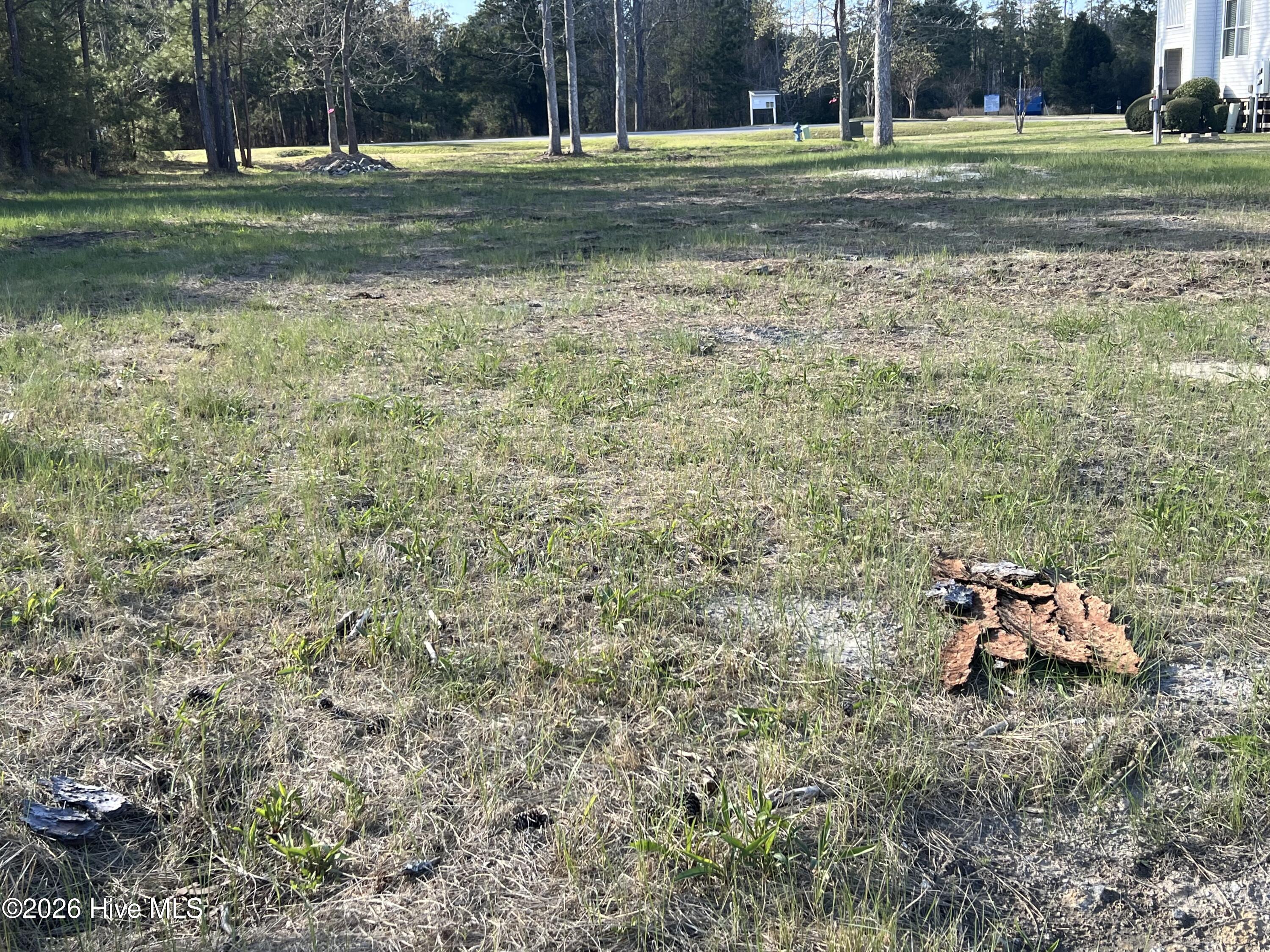 Lot 2 Dowry Creek E, Belhaven, NC, 27810