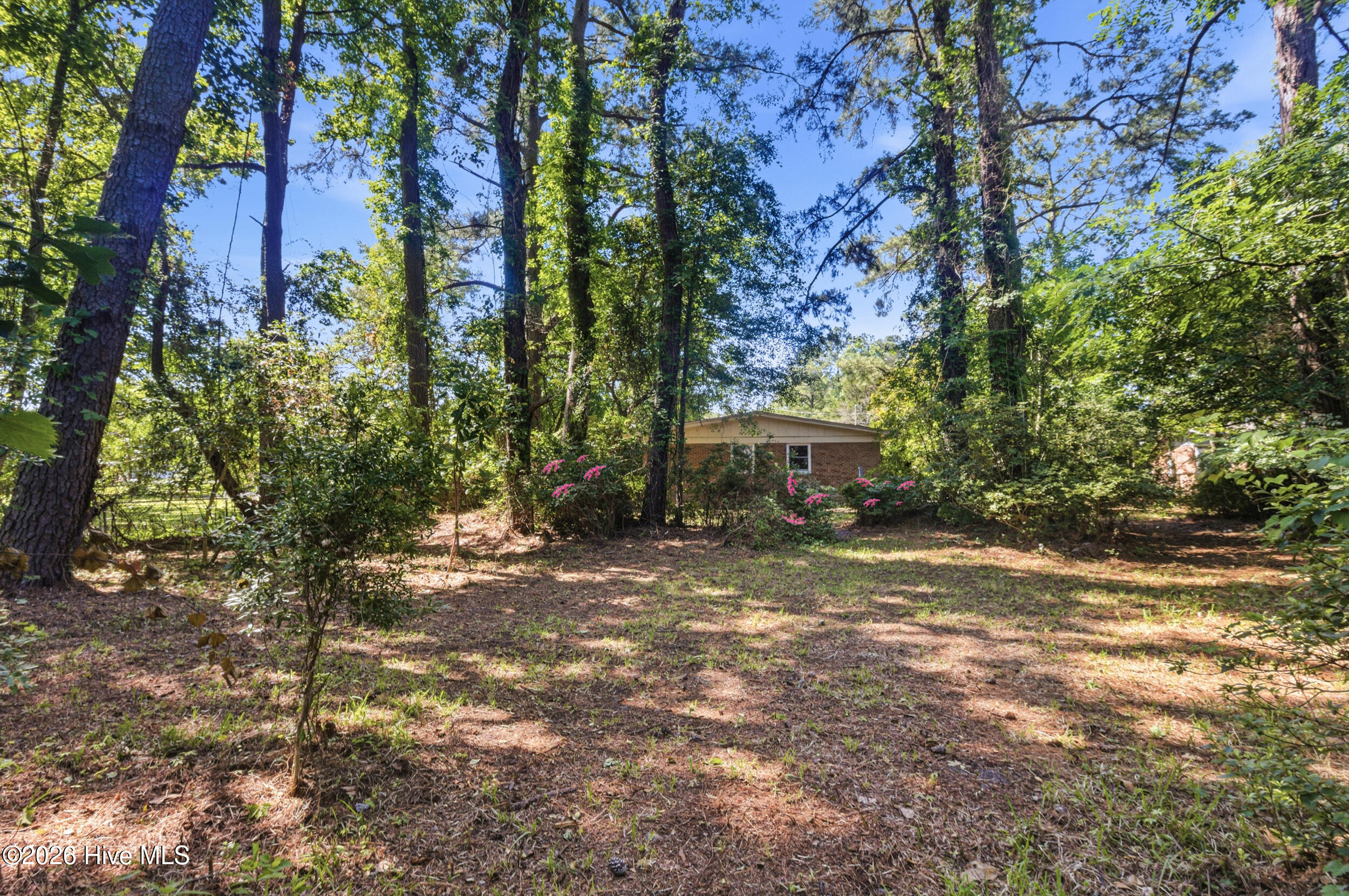 1904 Chestnut Avenue,New Bern