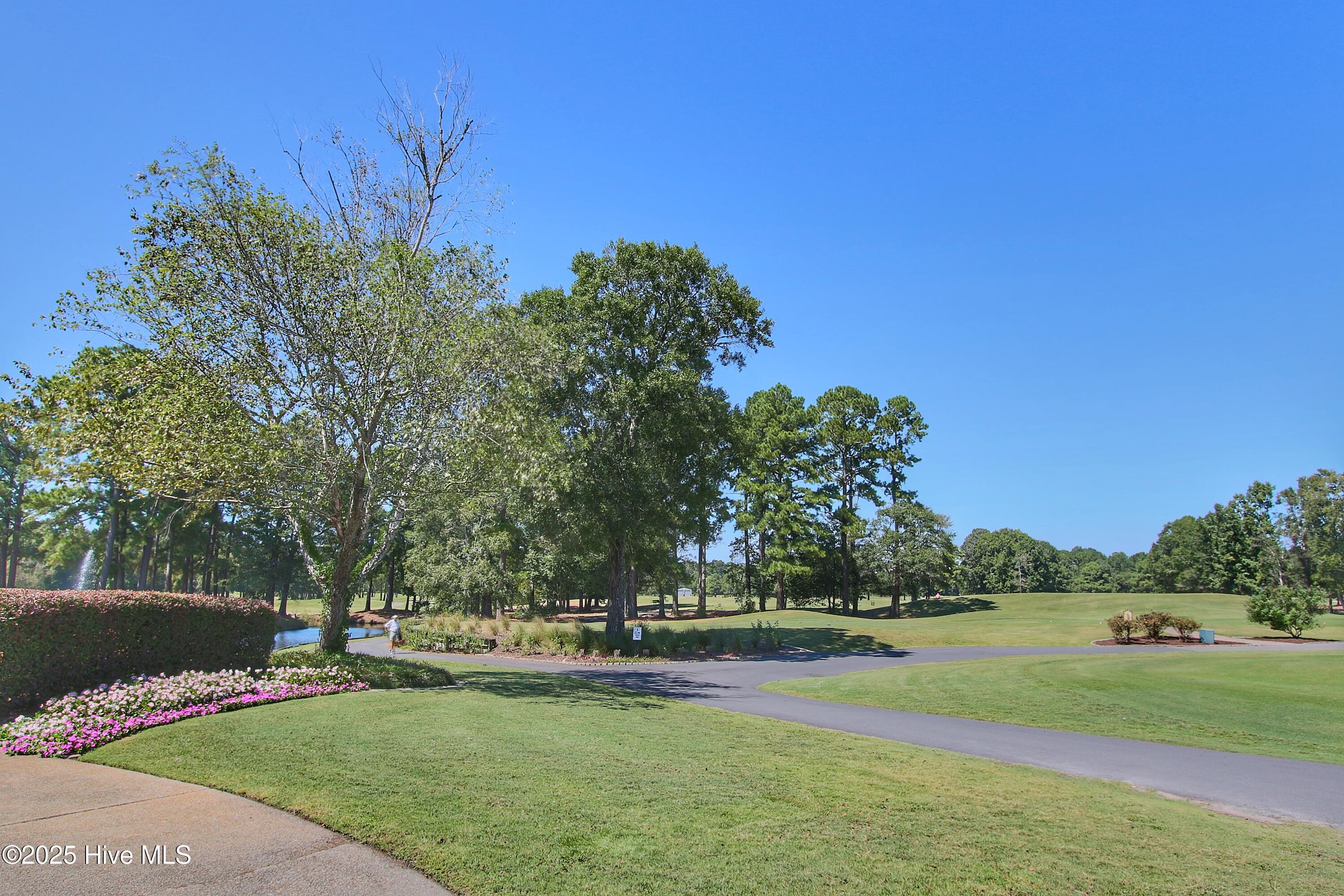 100525378 | Photo 61