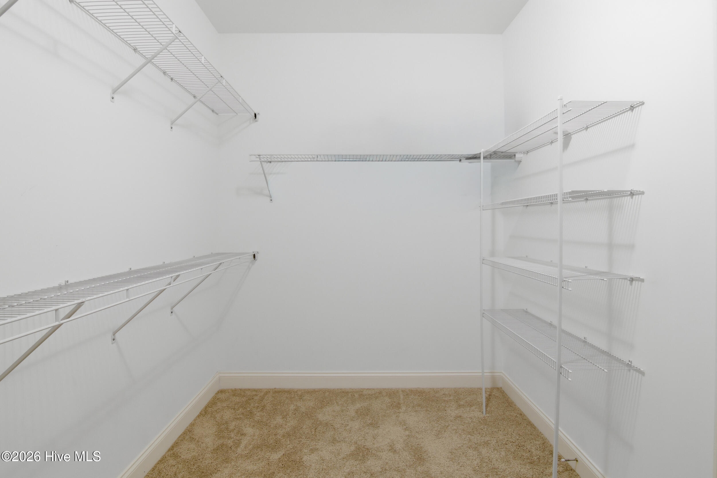 100556252 | Photo 33