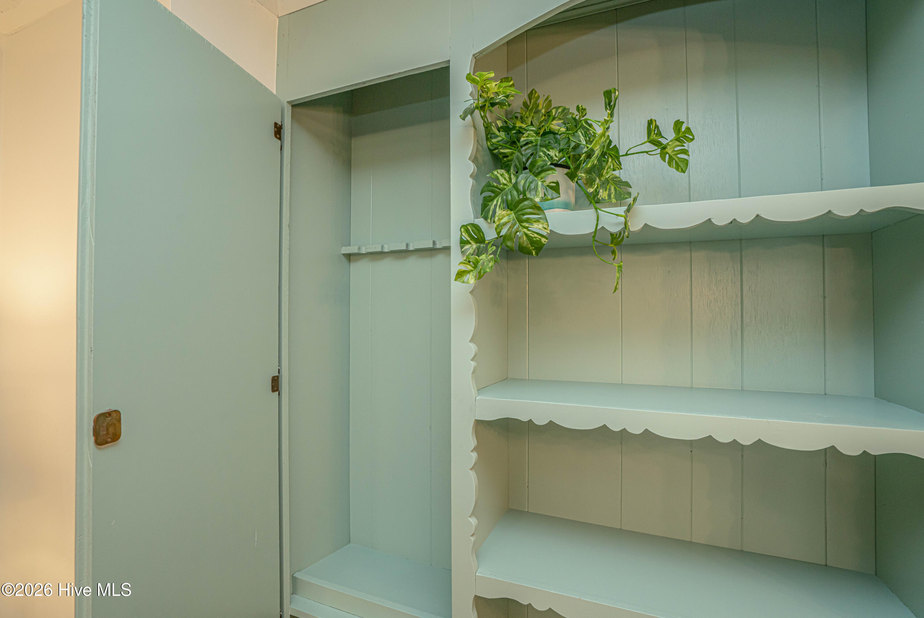 100567372 | Photo 32