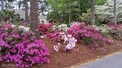 741 Highgate Place SW