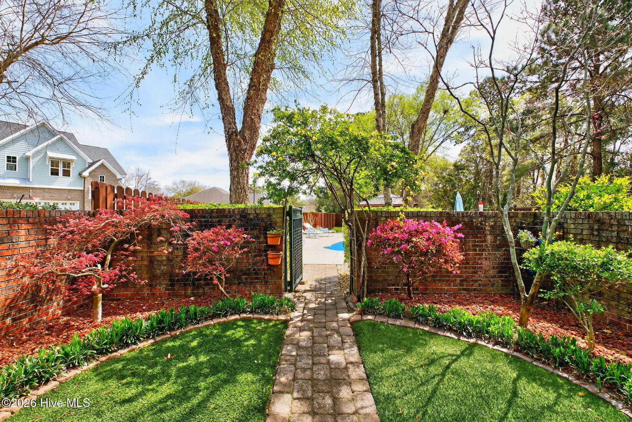 100562589 | Photo 57