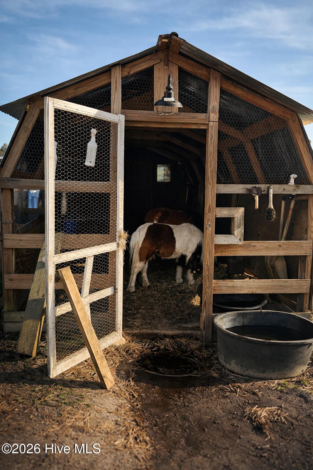 100556828 | Photo 35