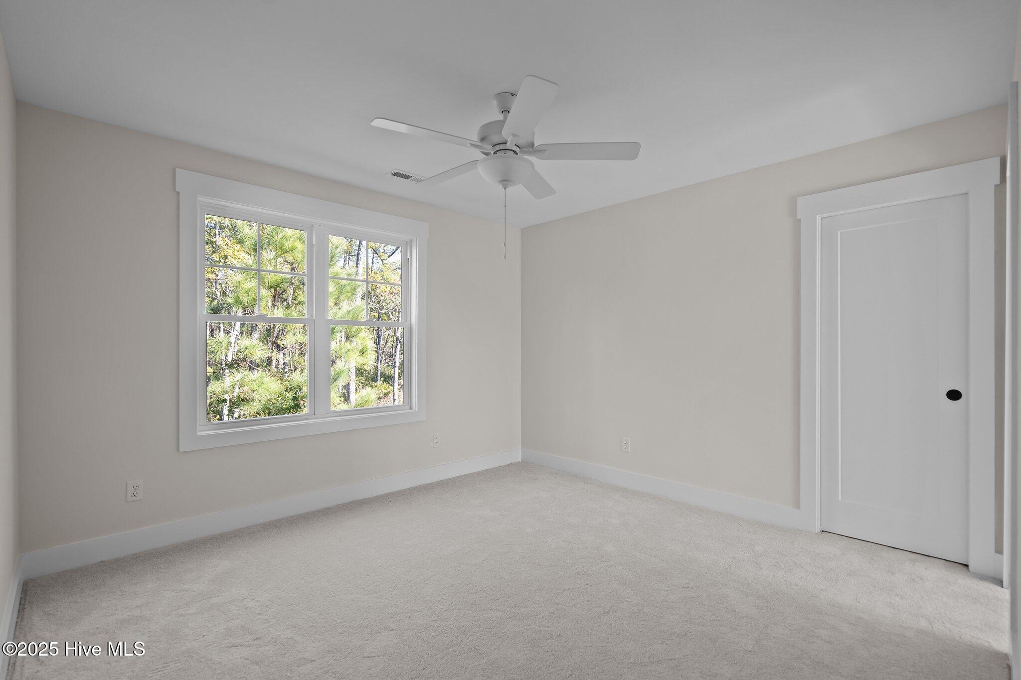 100556571 | Photo 34